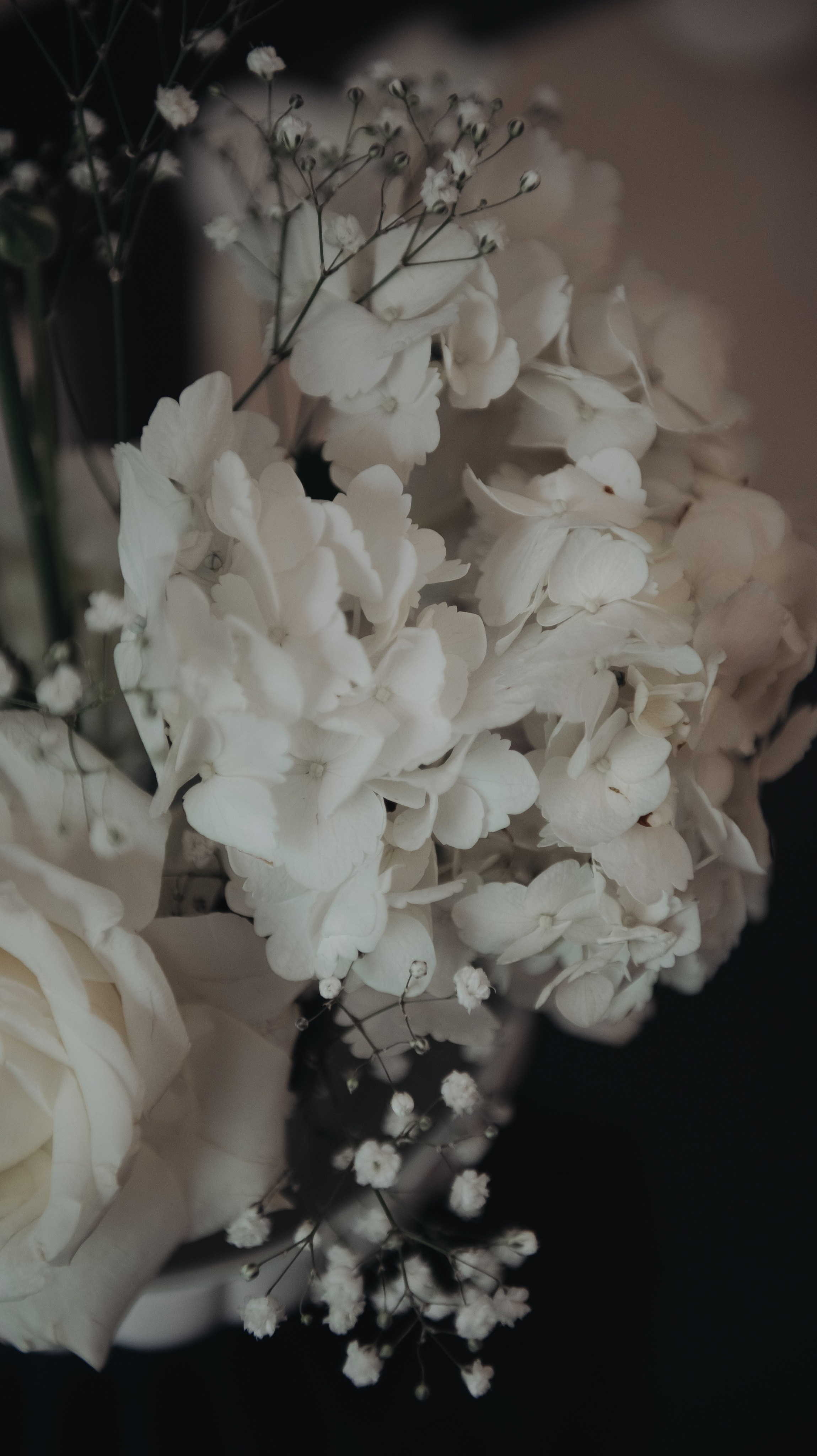 Romanoff. Свадебный и семейный фотограф Темрюк Алёна Ковальская