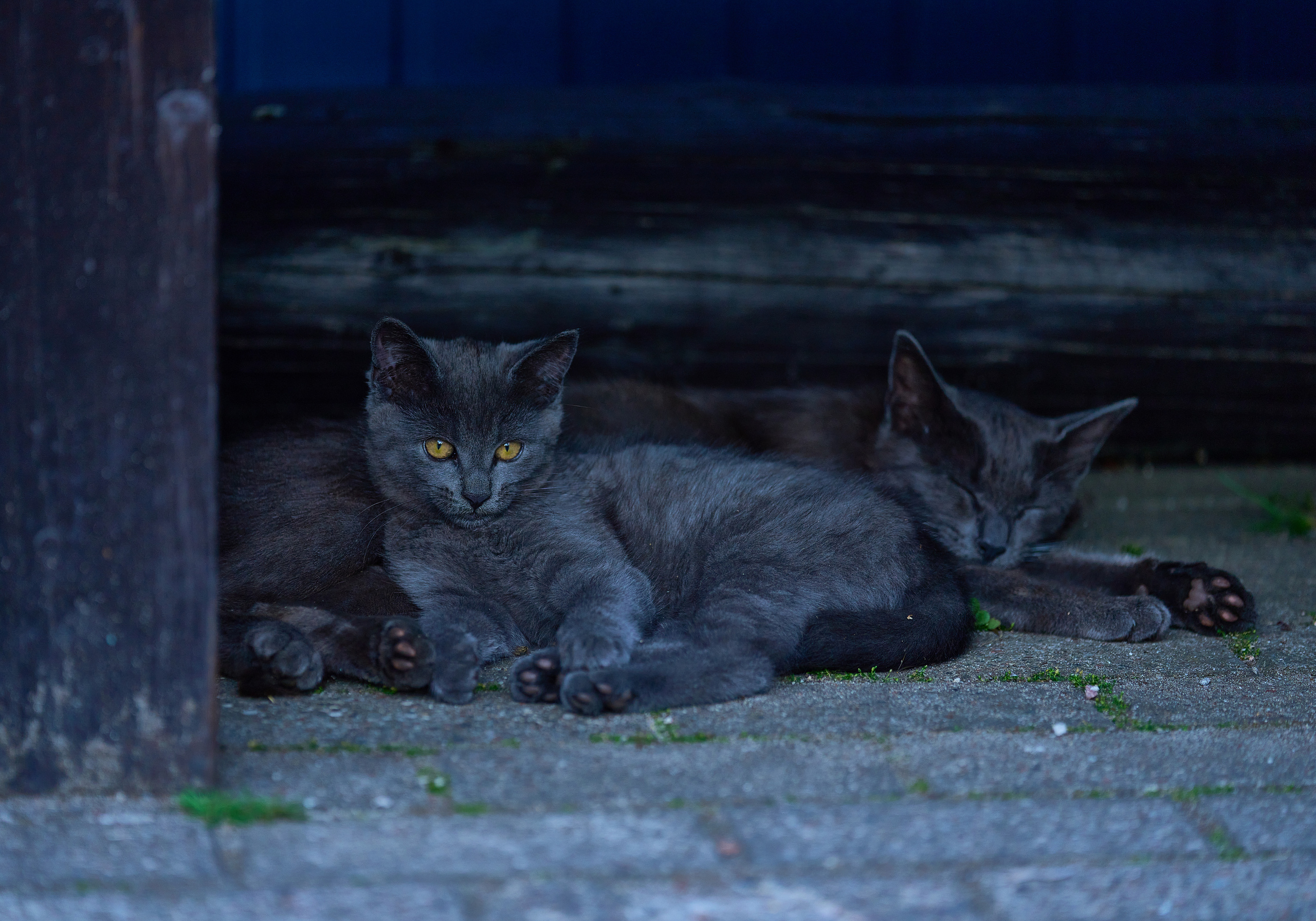 Калининград. Фотограф Михеев Андрей