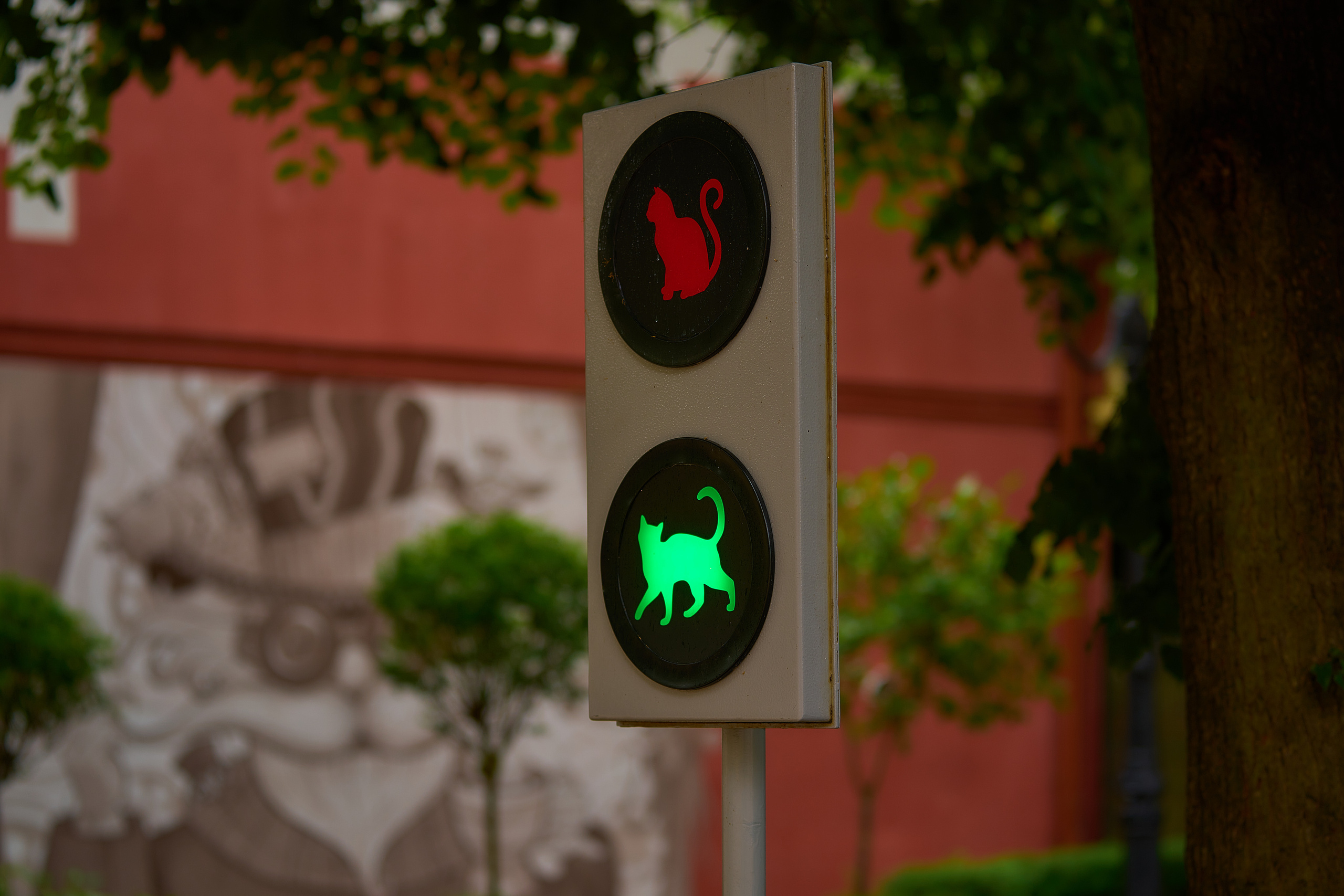 Калининград. Фотограф Михеев Андрей