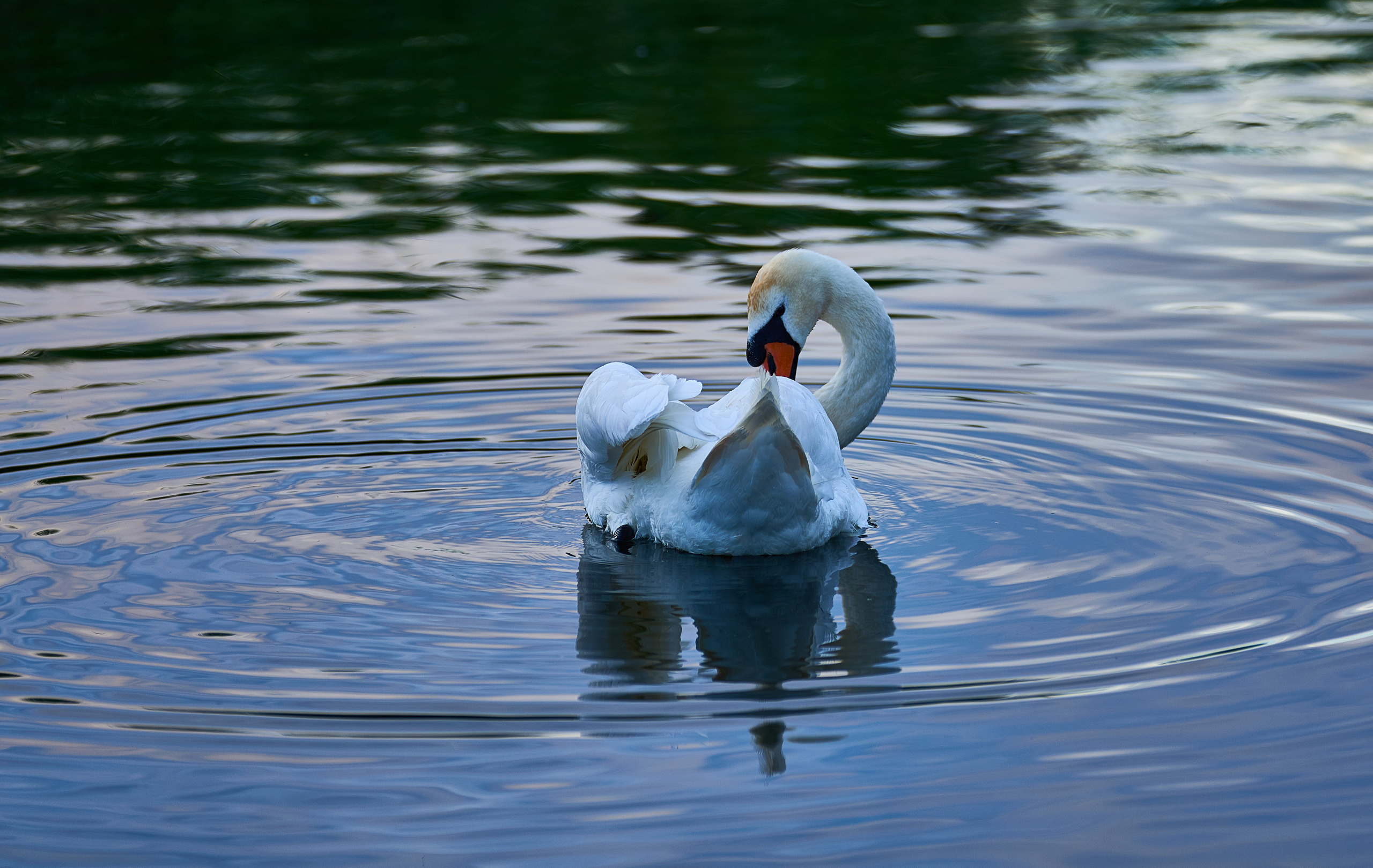Калининград. Фотограф Михеев Андрей