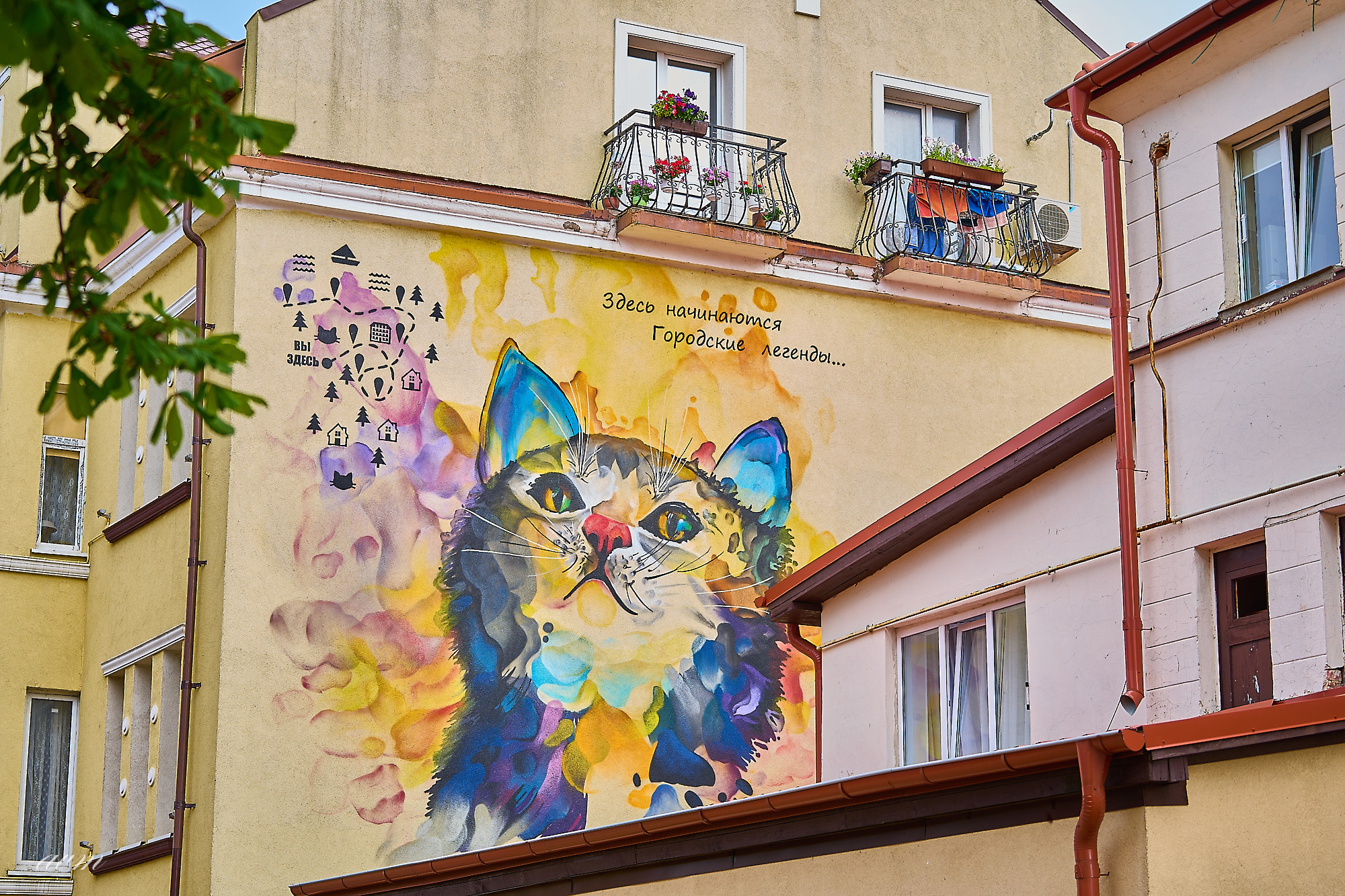 Калининград. Фотограф Михеев Андрей