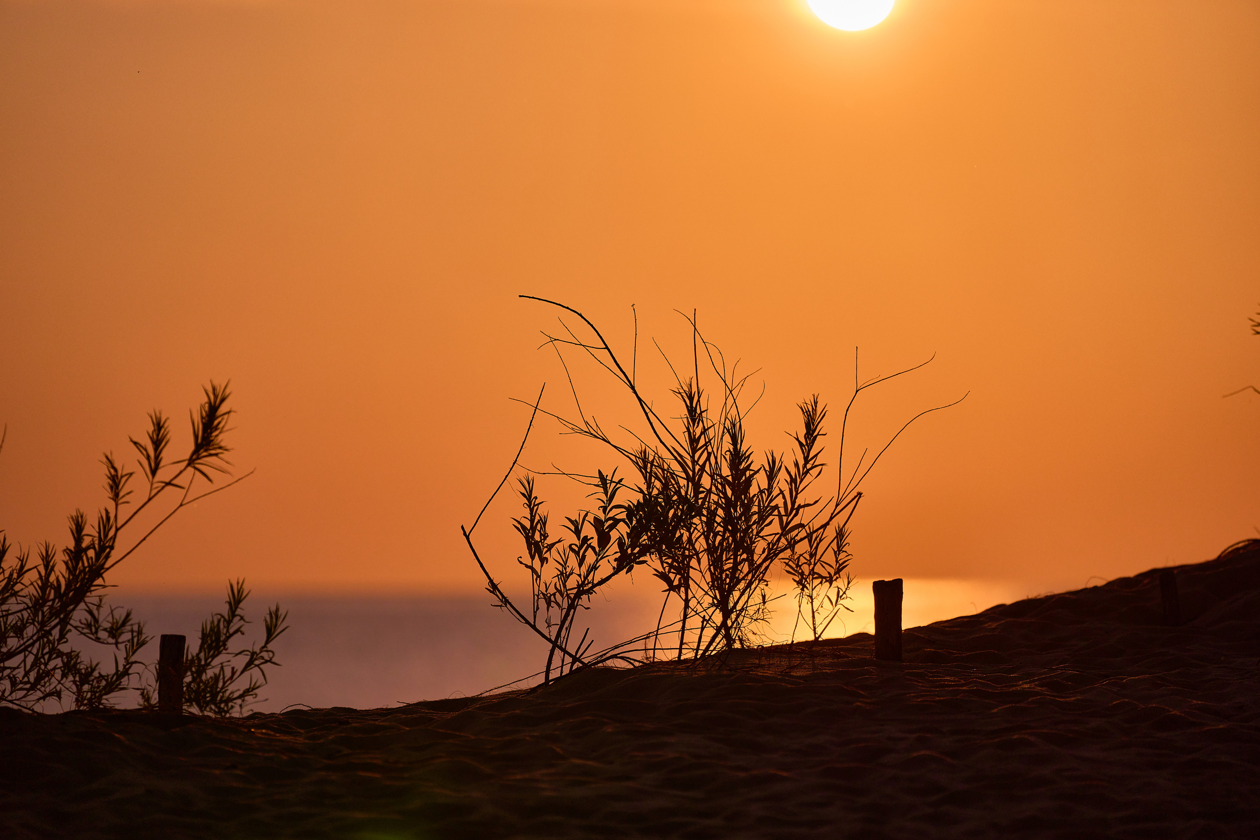 Калининград. Фотограф Михеев Андрей