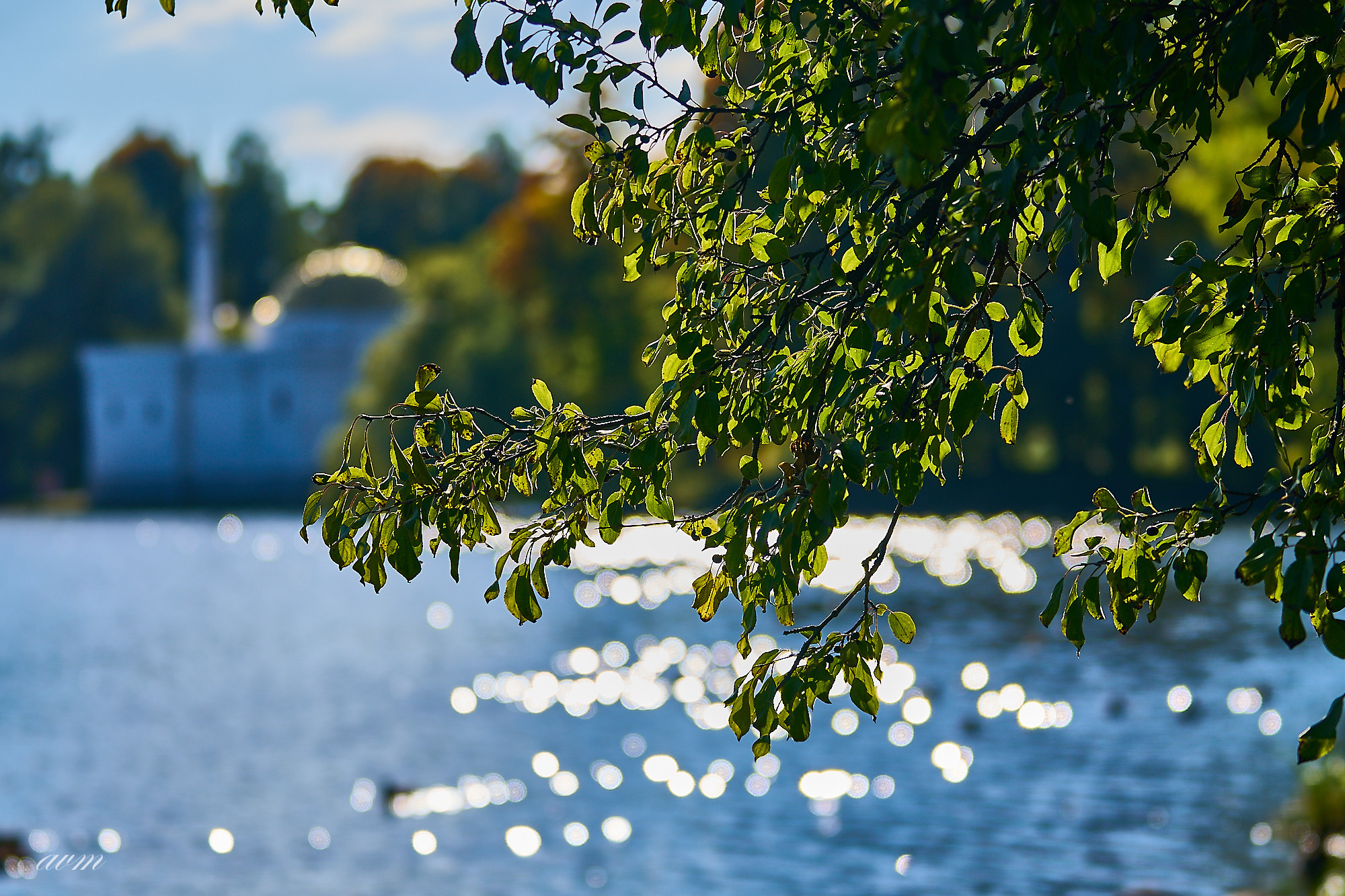 Царское село. Фотограф Михеев Андрей