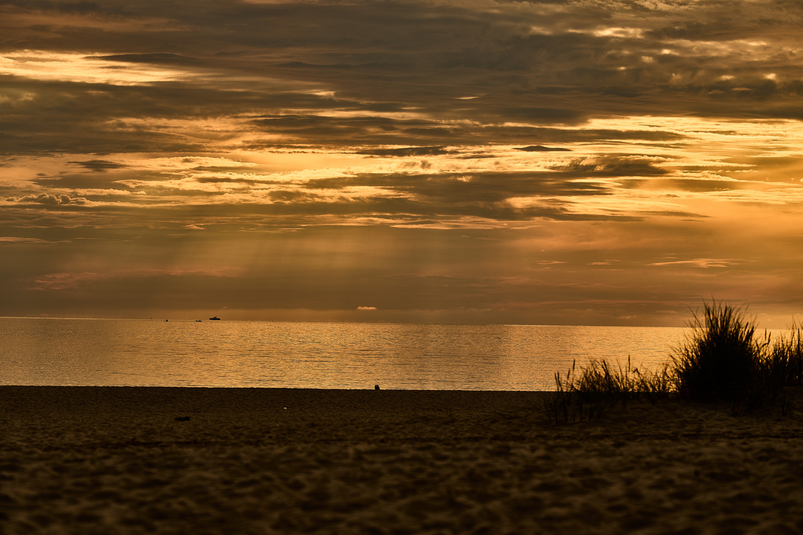Калининград. Фотограф Михеев Андрей
