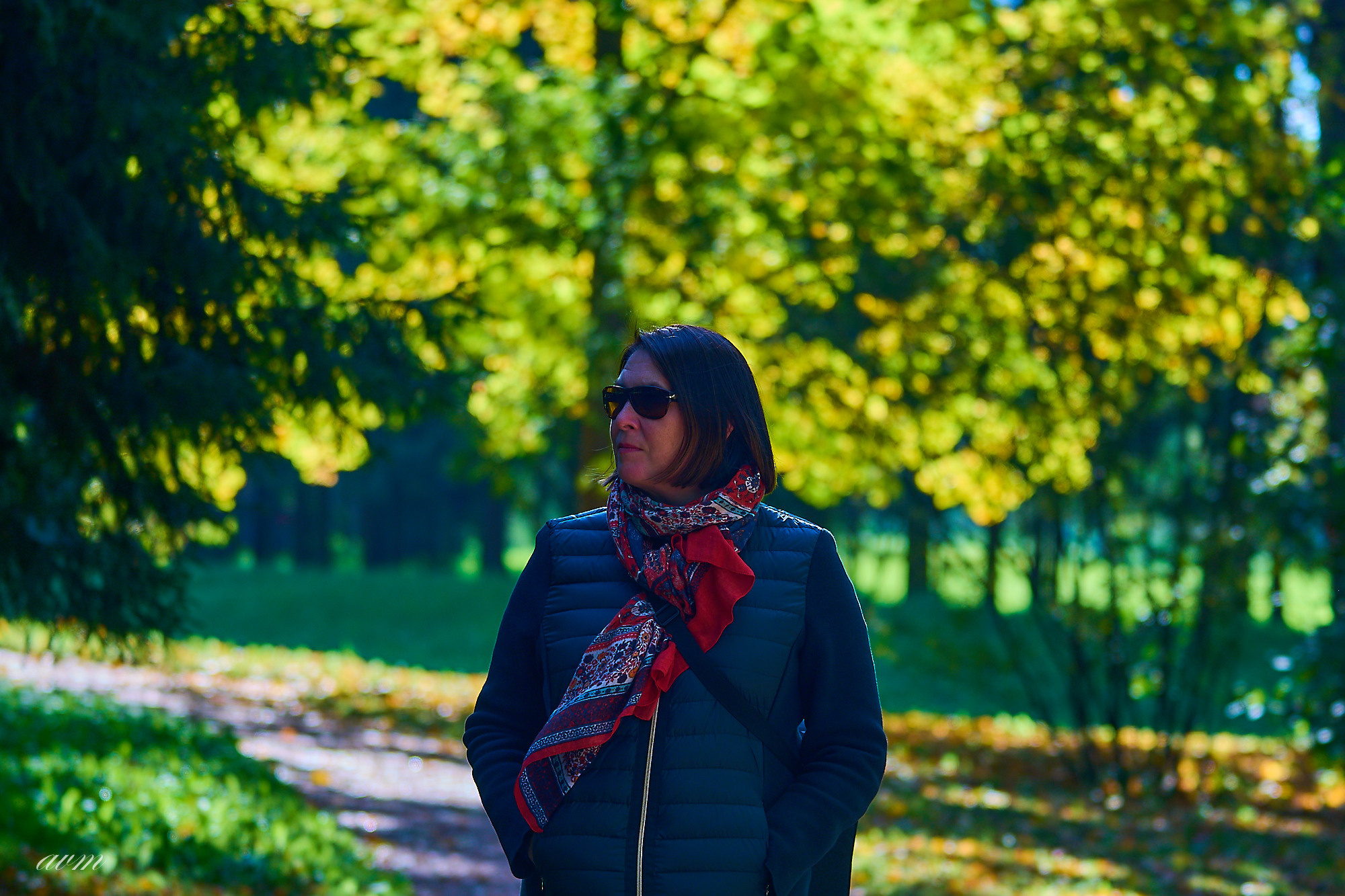 Царское село. Фотограф Михеев Андрей