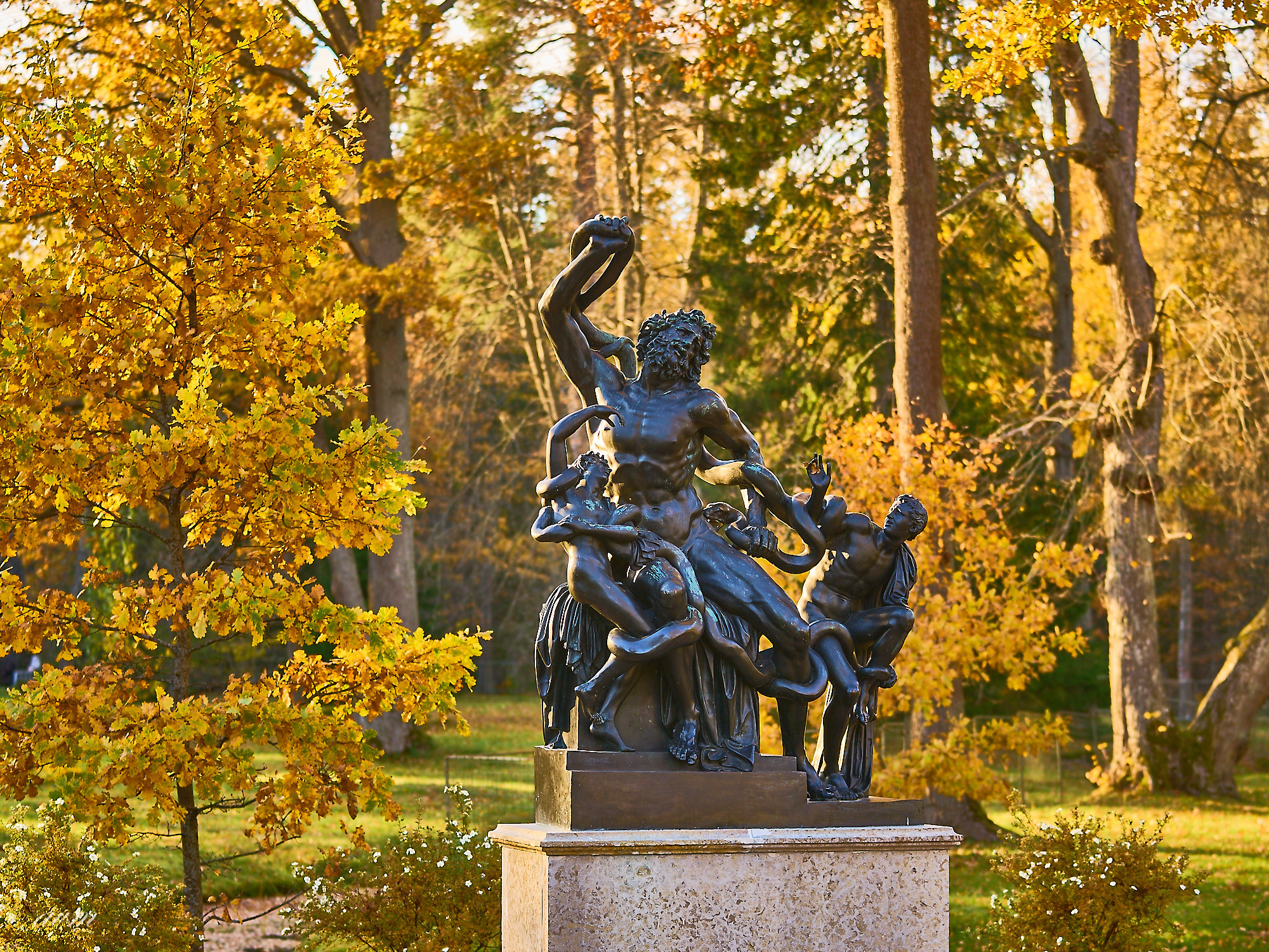 Оранинбаум. Фотограф Михеев Андрей