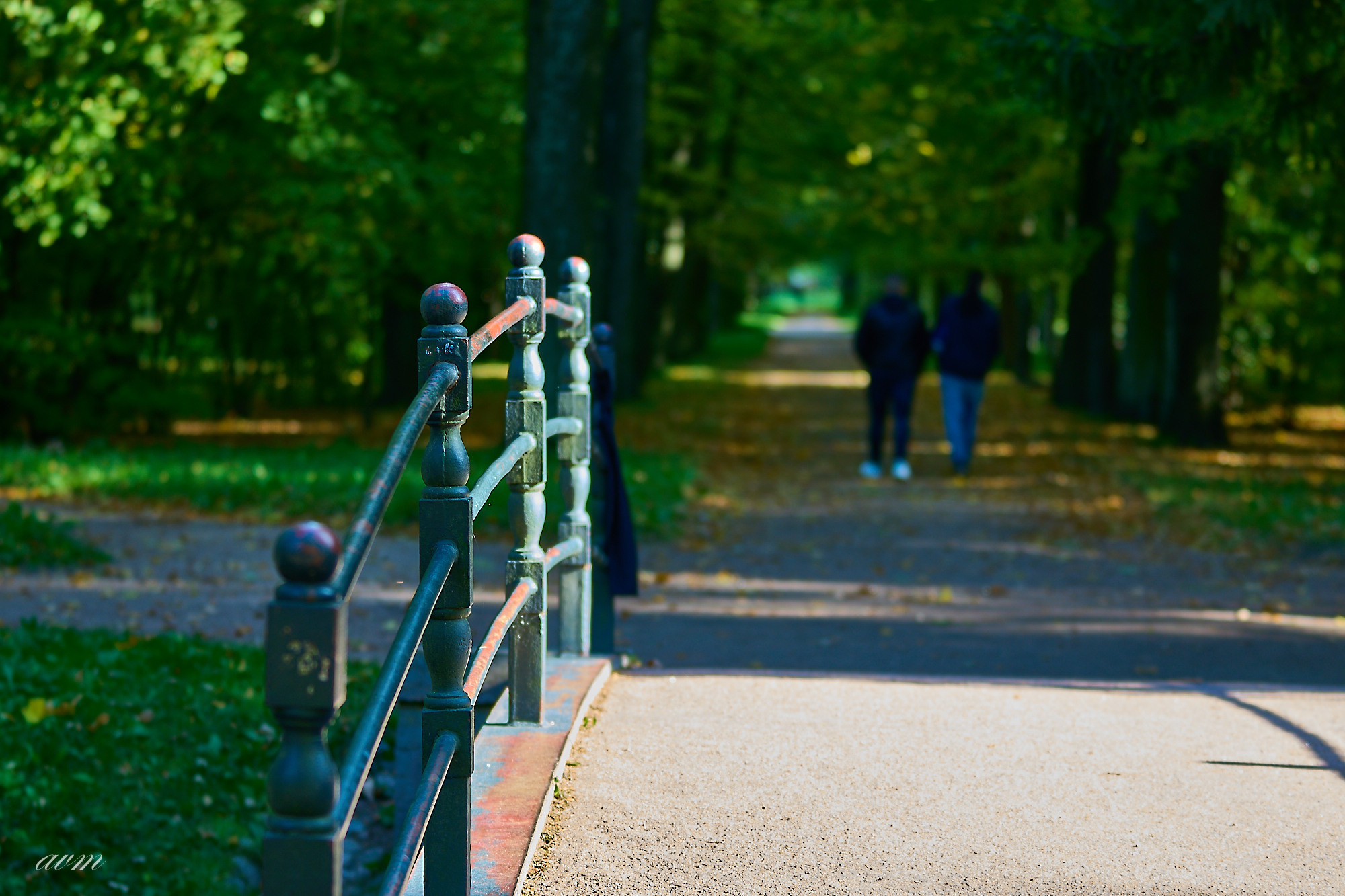 Царское село. Фотограф Михеев Андрей