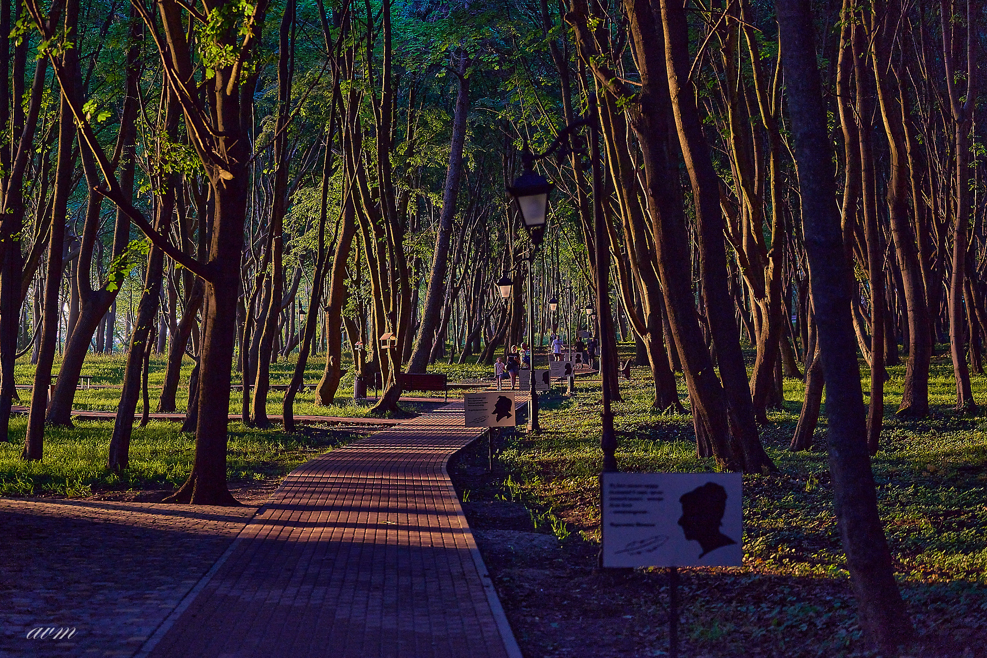 Калининград. Фотограф Михеев Андрей