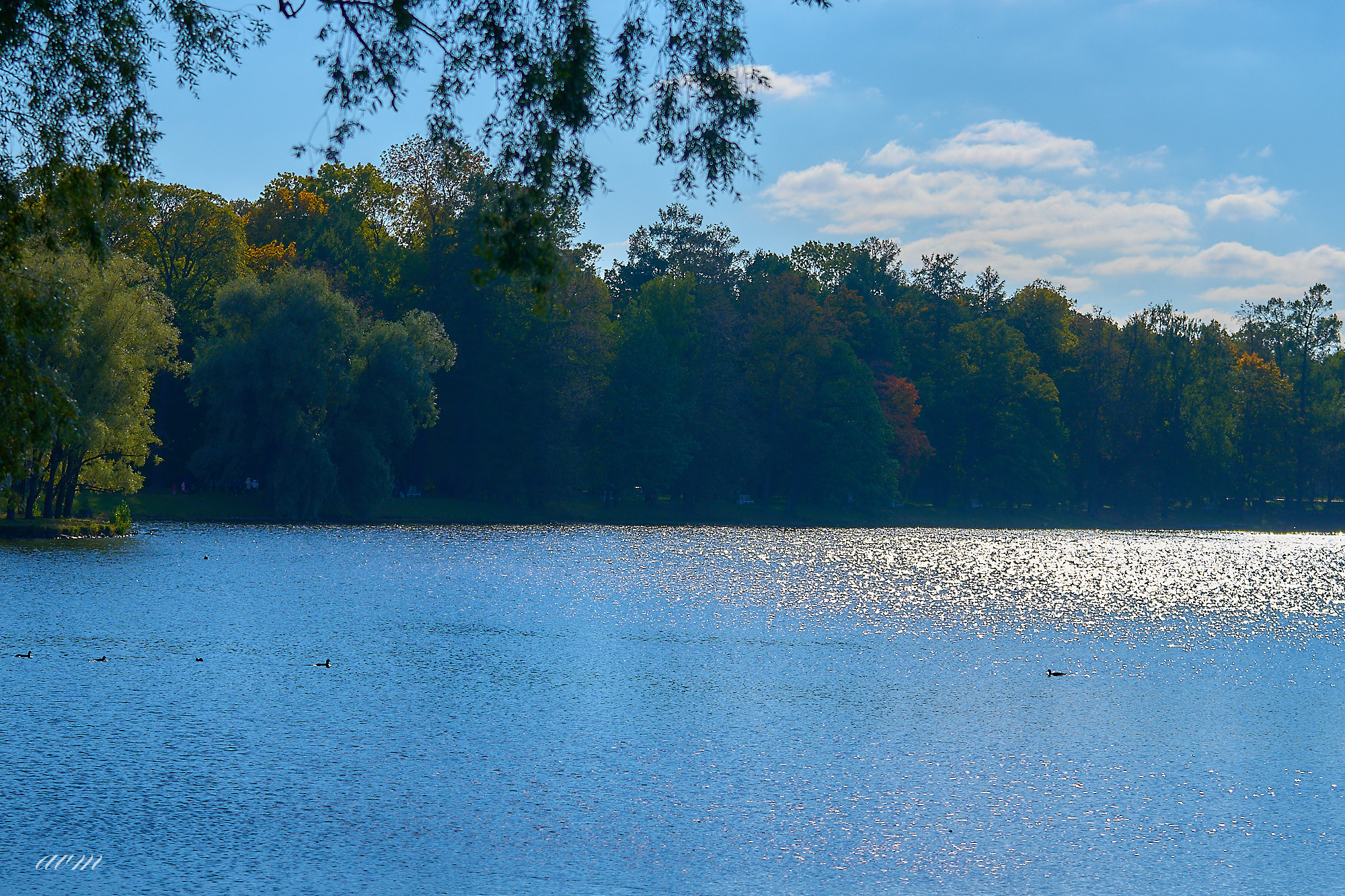 Царское село. Фотограф Михеев Андрей