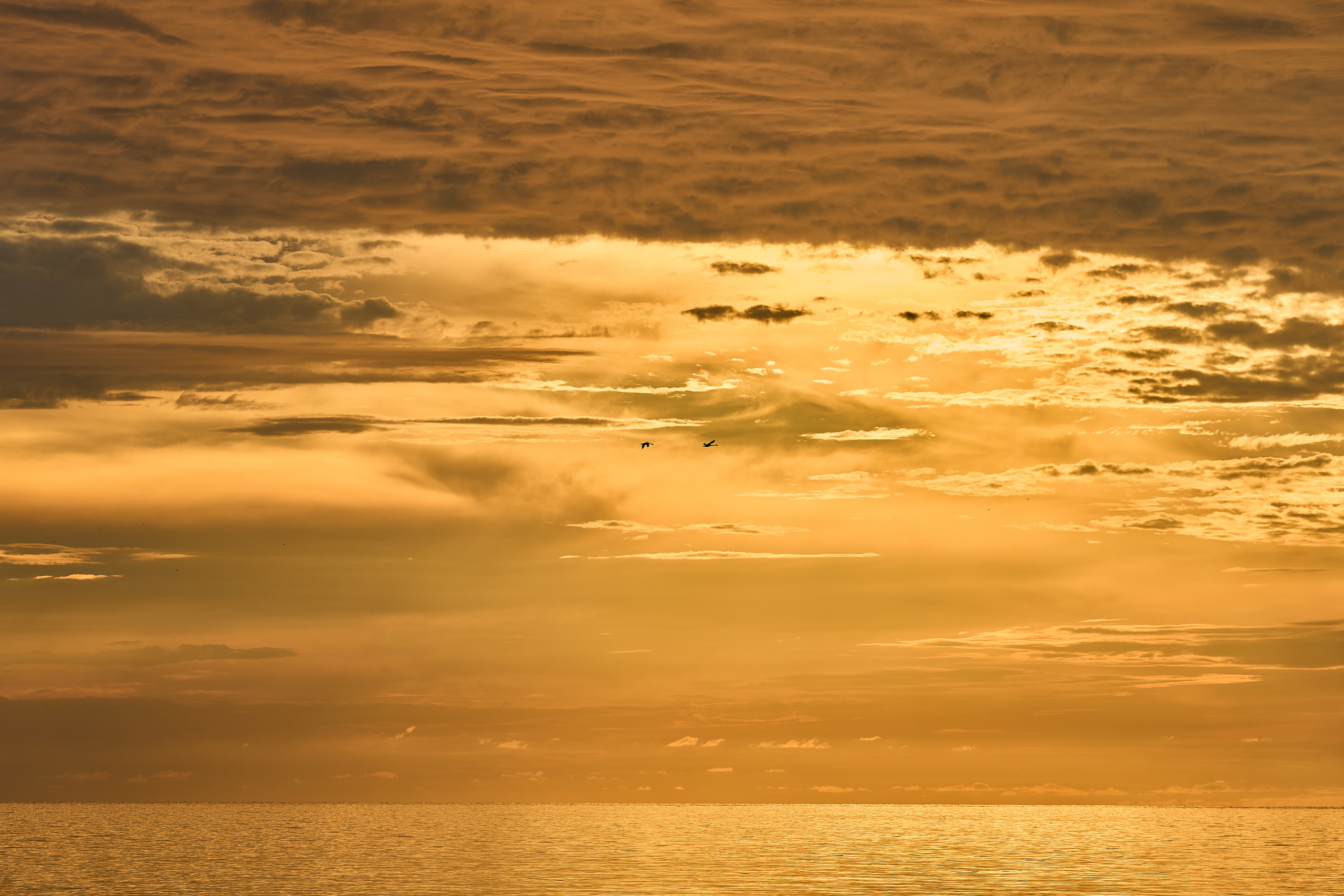 Калининград. Фотограф Михеев Андрей