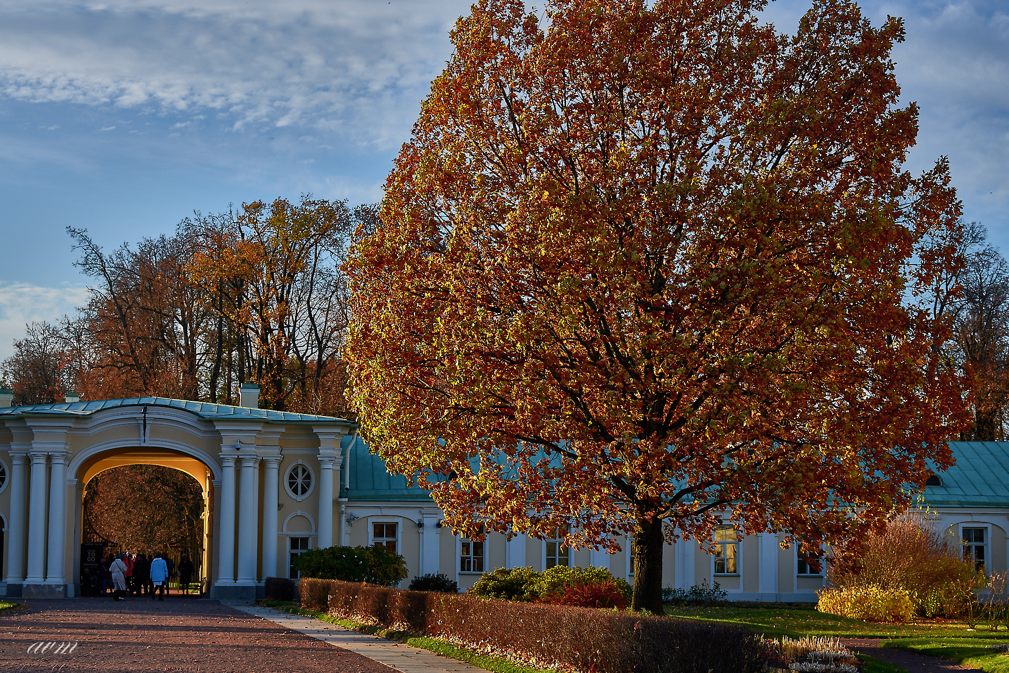 Оранинбаум. Фотограф Михеев Андрей
