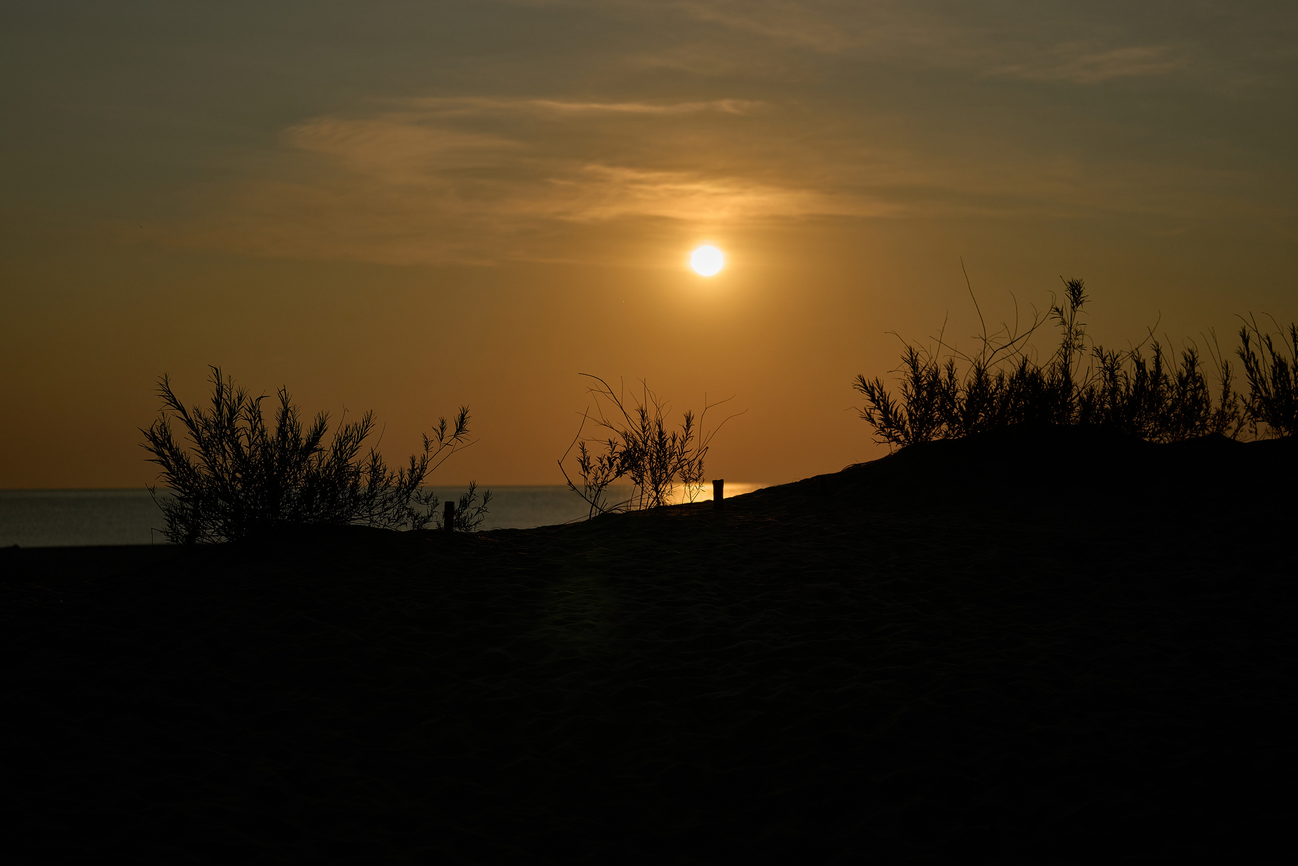 Калининград. Фотограф Михеев Андрей