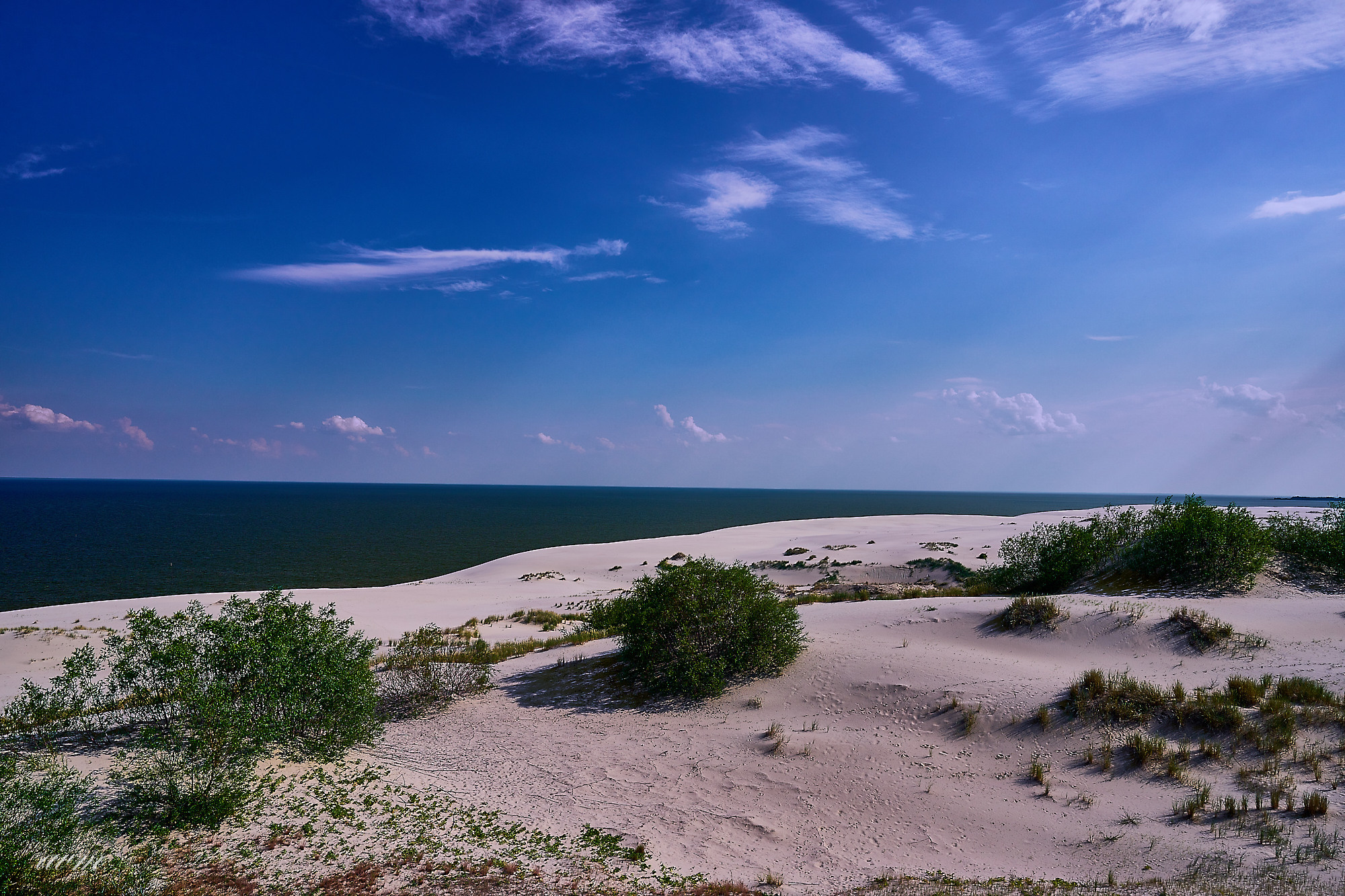 Калининград. Фотограф Михеев Андрей