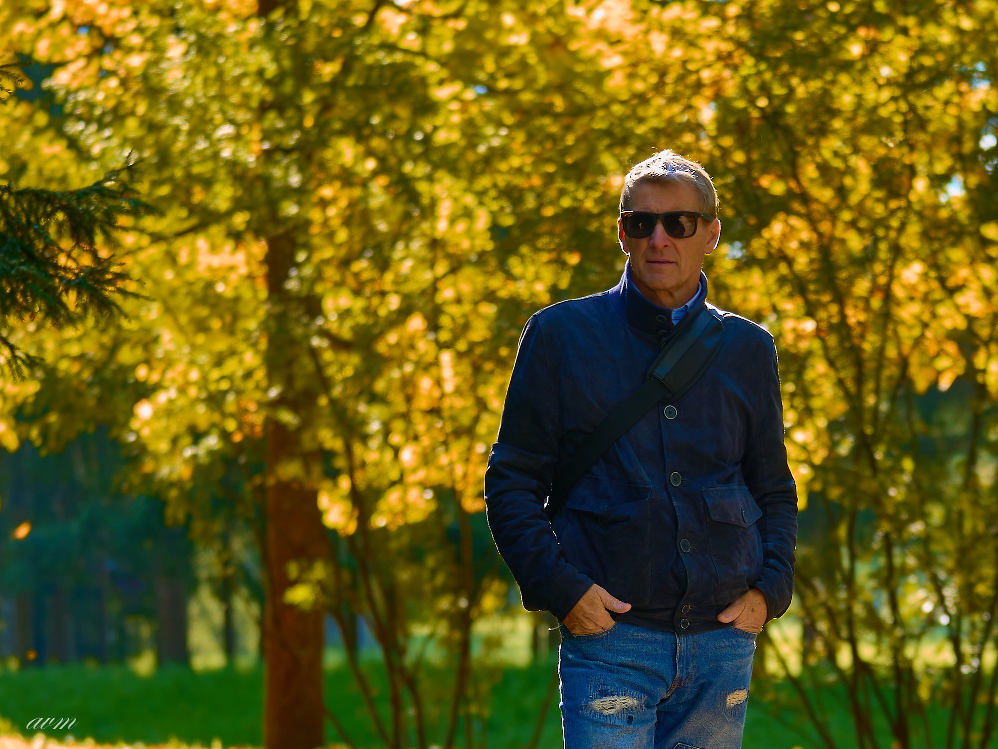 Царское село. Фотограф Михеев Андрей