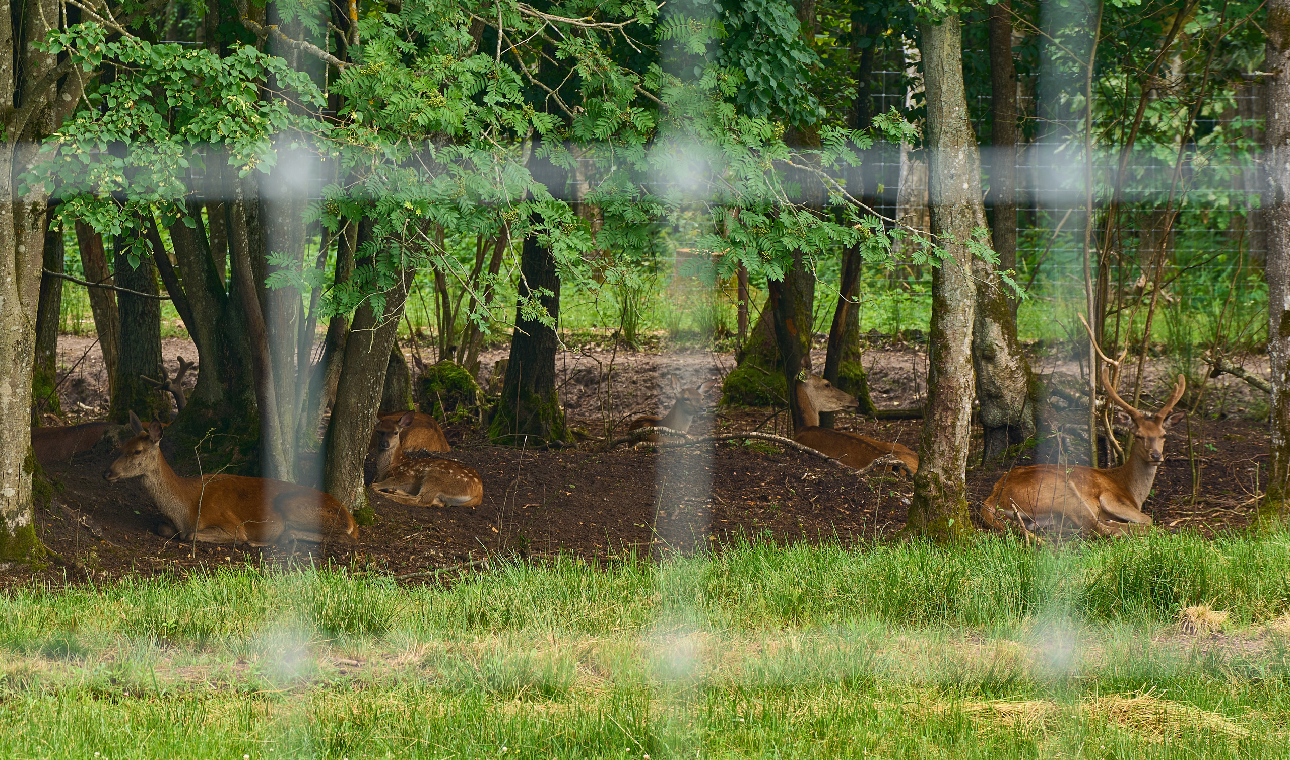 Калининград. Фотограф Михеев Андрей