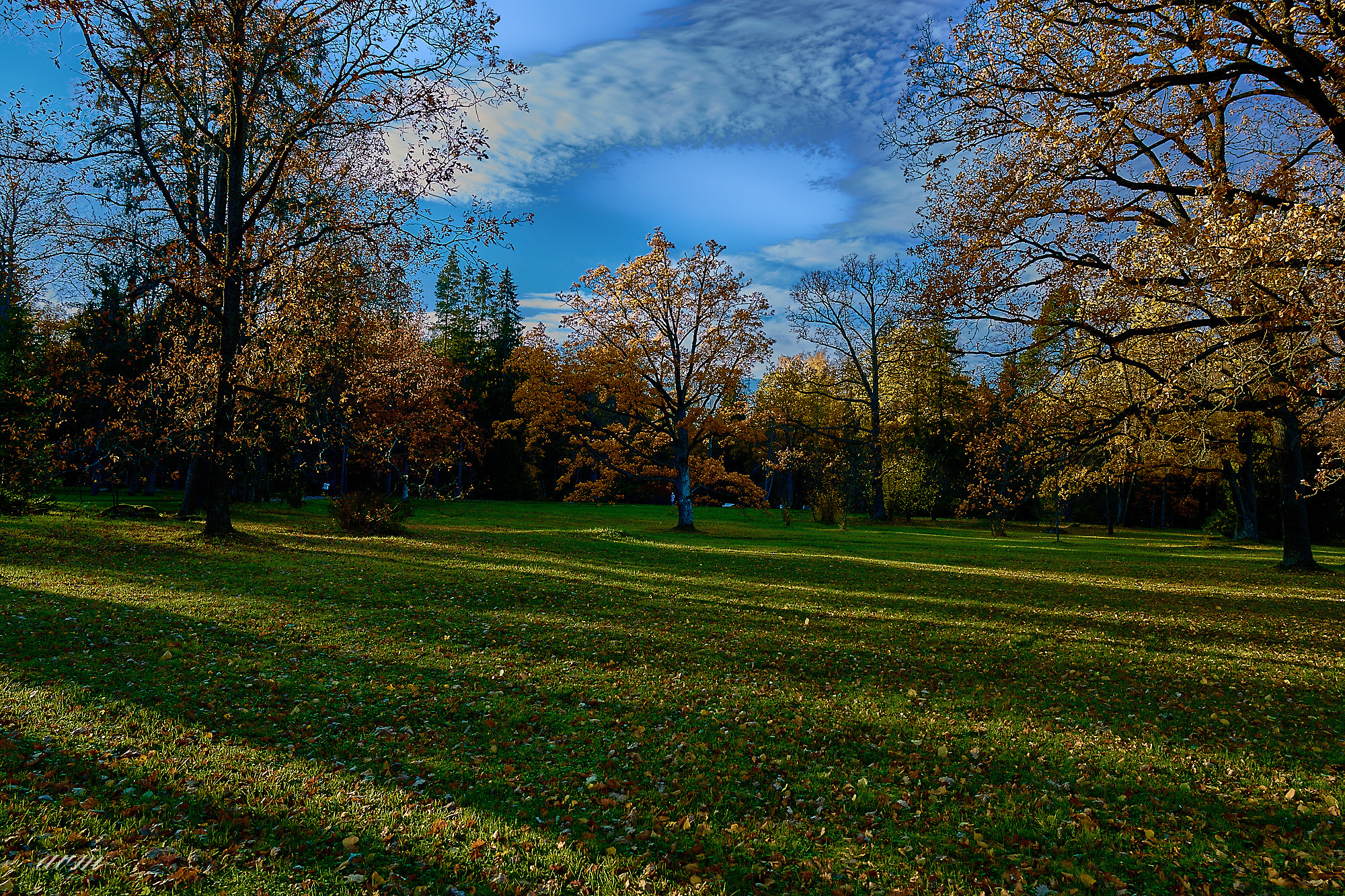 Оранинбаум. Фотограф Михеев Андрей