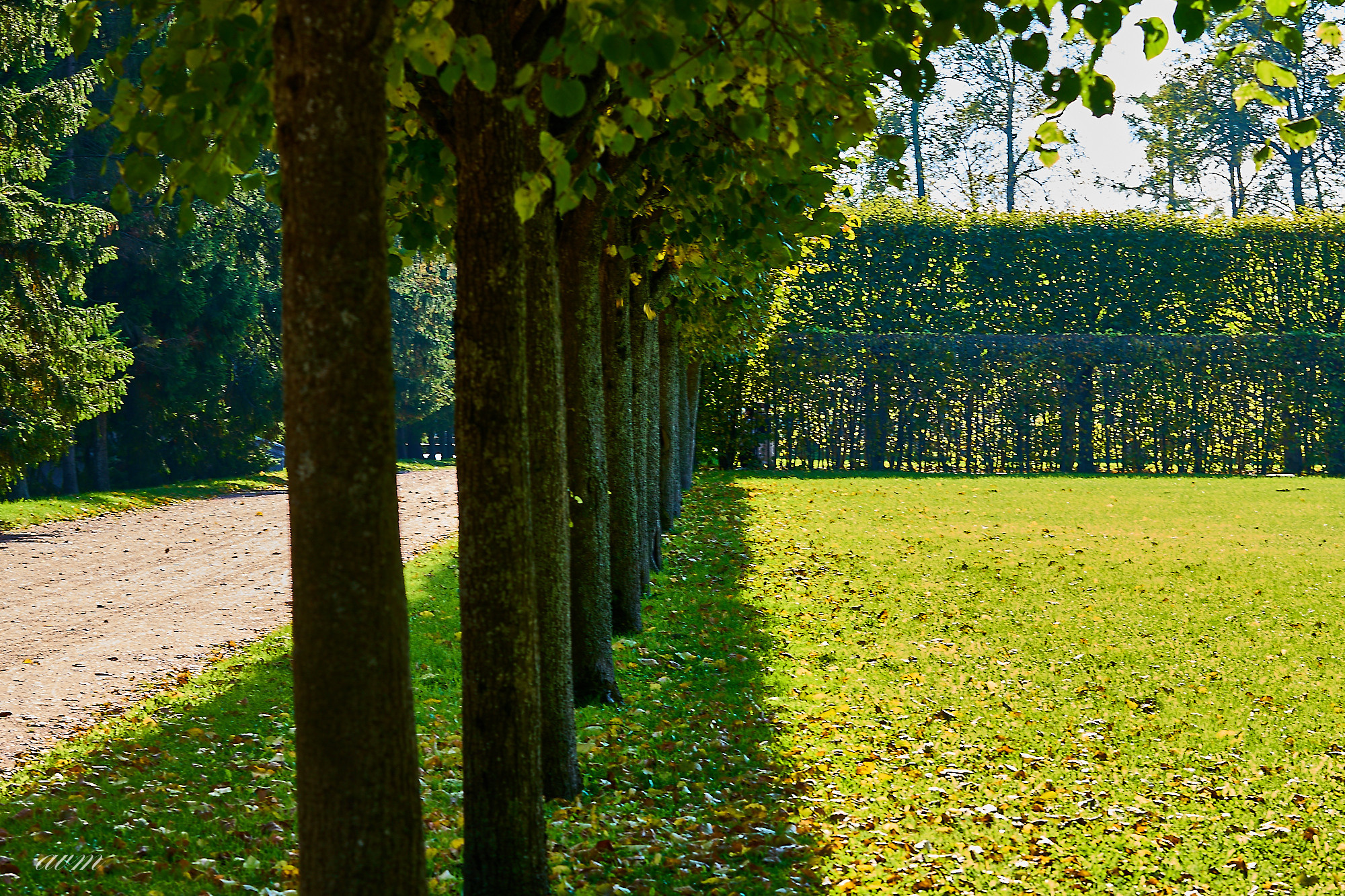 Царское село. Фотограф Михеев Андрей