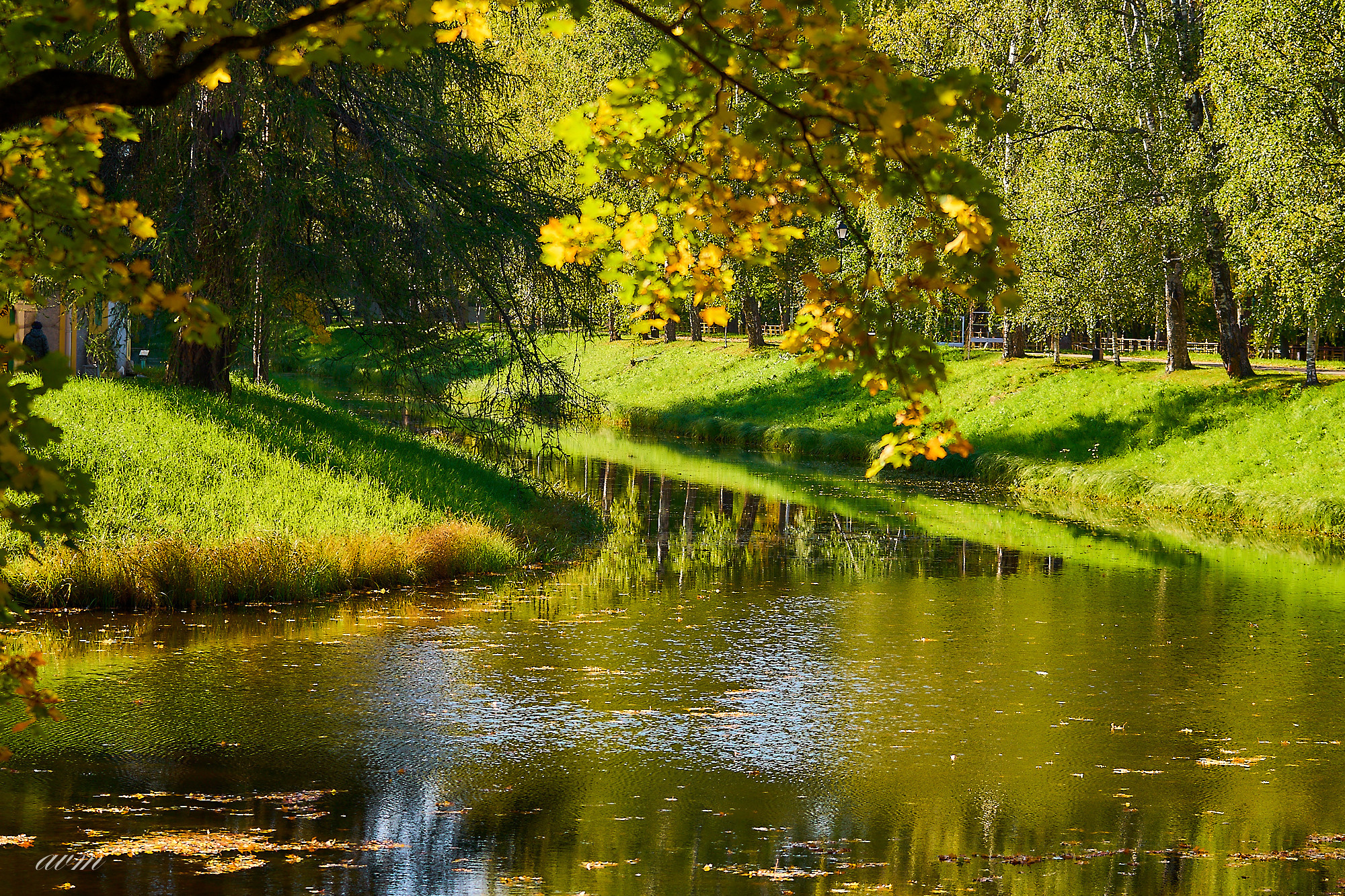 Царское село. Фотограф Михеев Андрей
