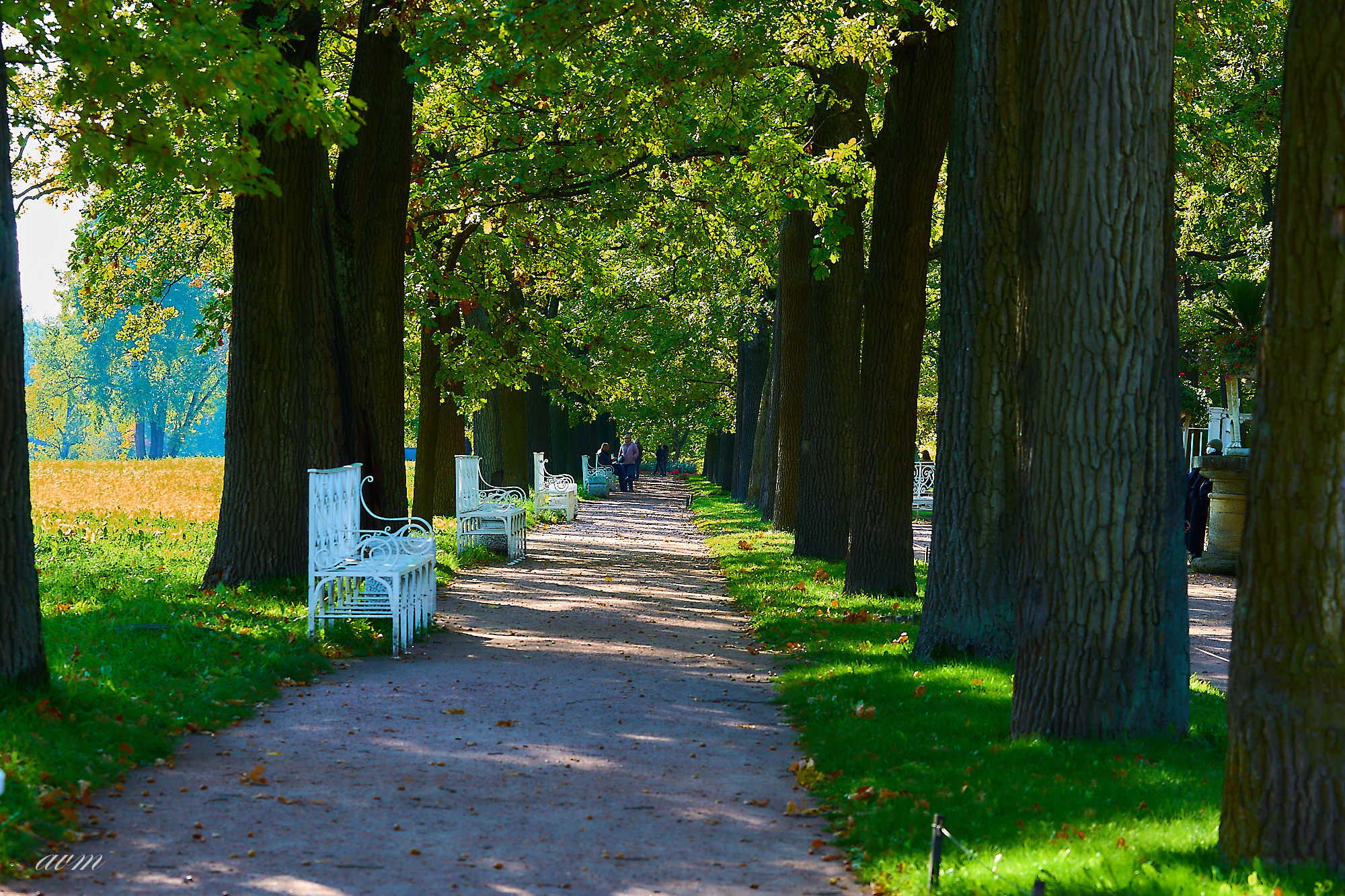 Царское село. Фотограф Михеев Андрей