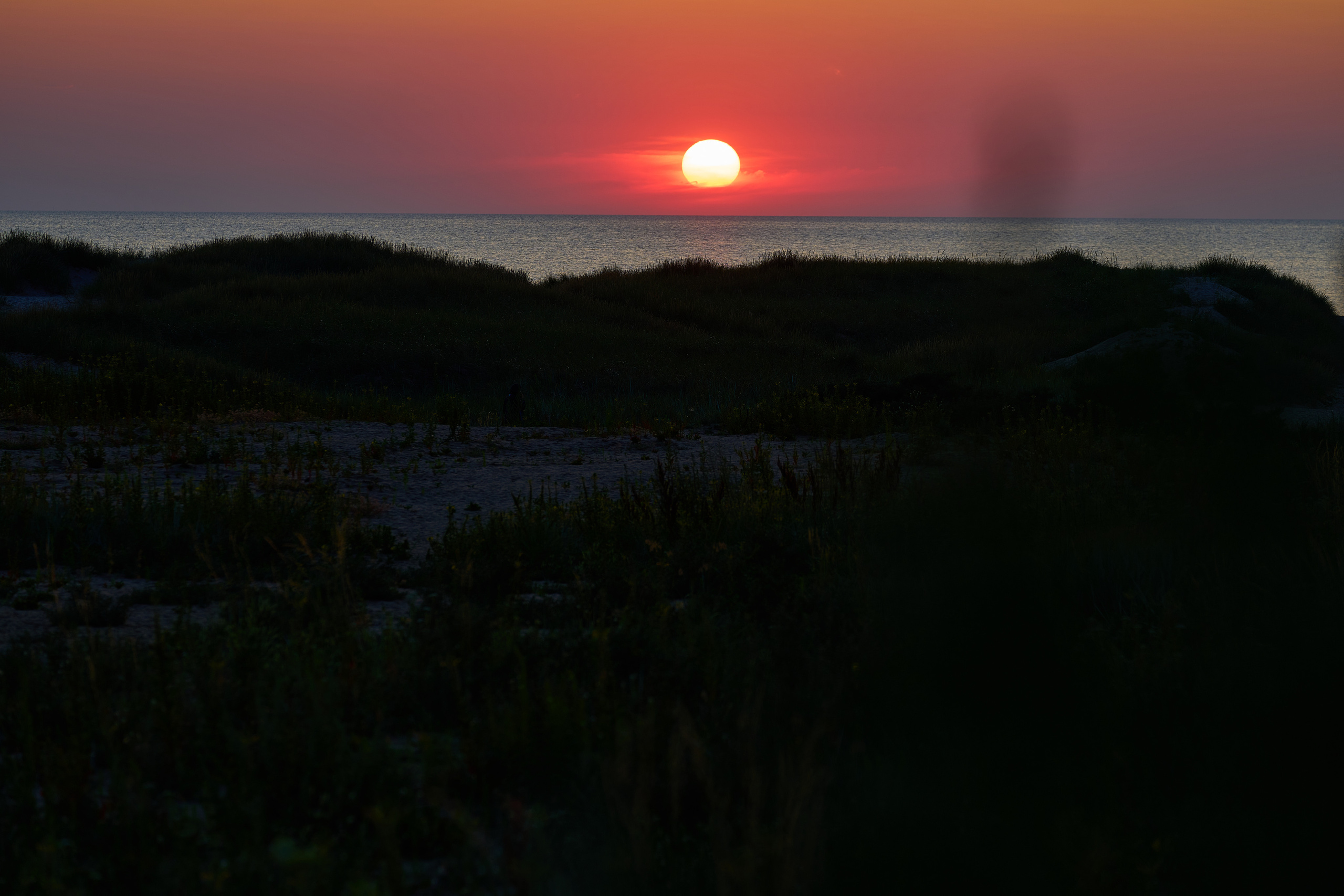 Калининград. Фотограф Михеев Андрей