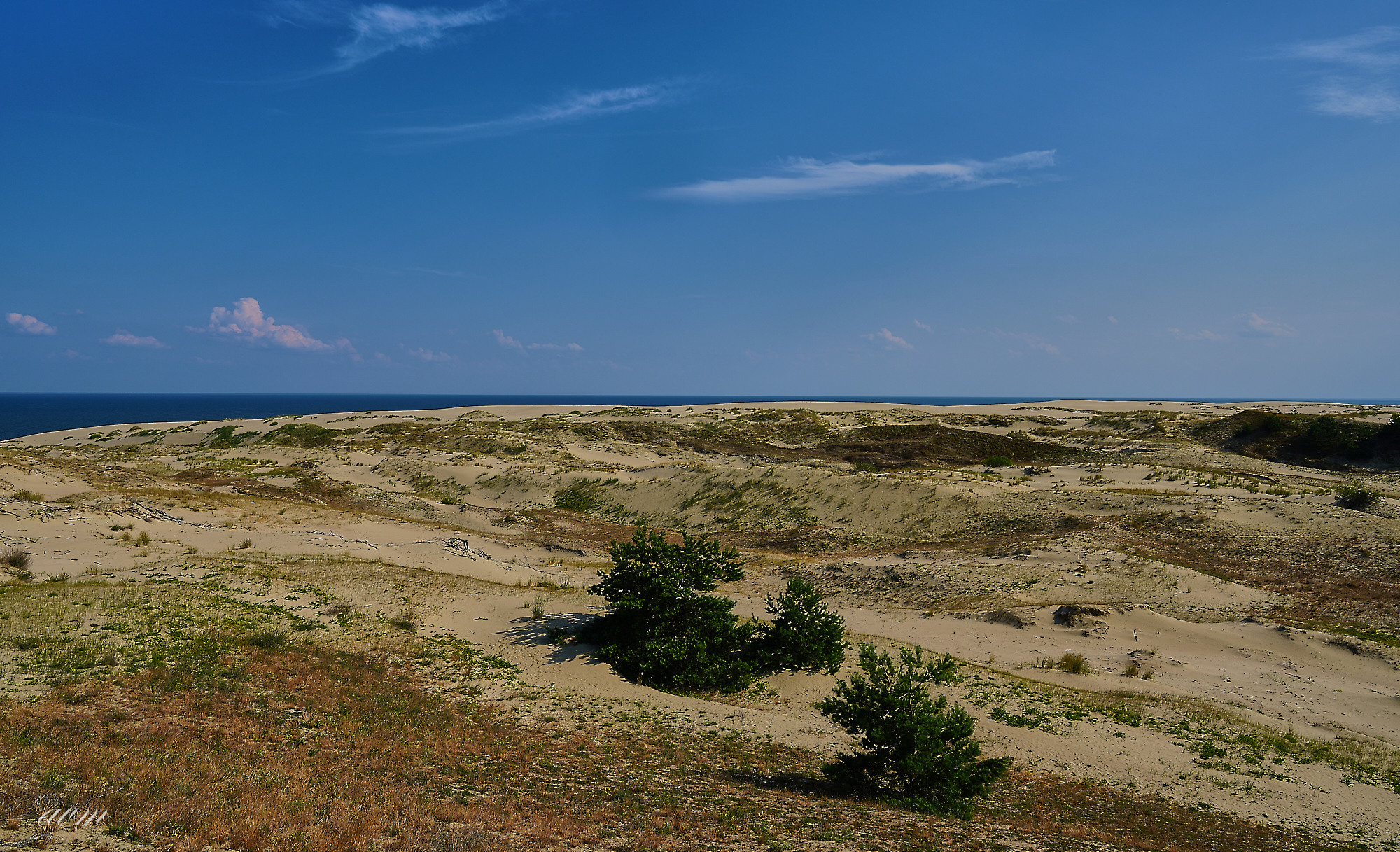 Калининград. Фотограф Михеев Андрей