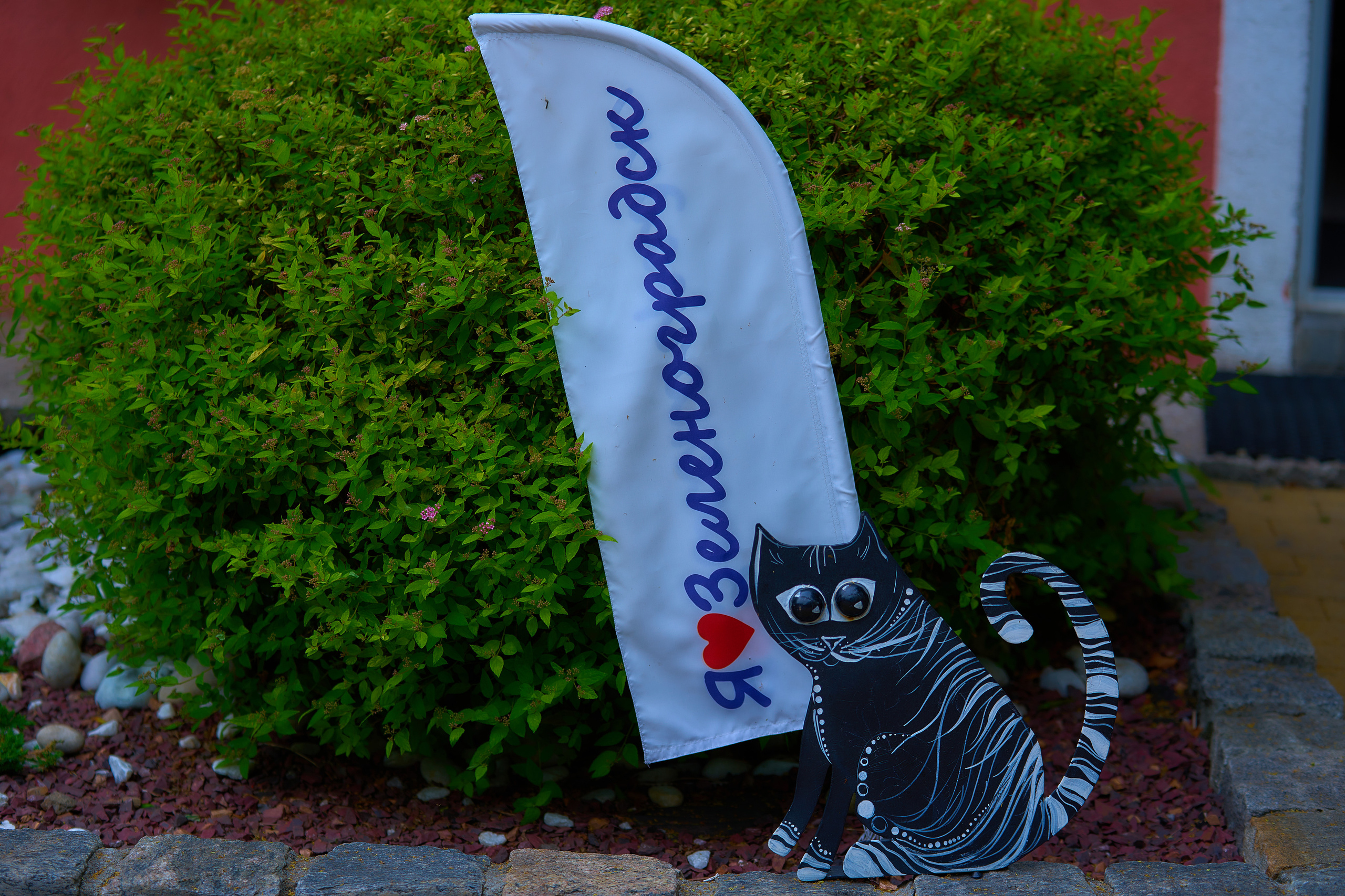 Калининград. Фотограф Михеев Андрей