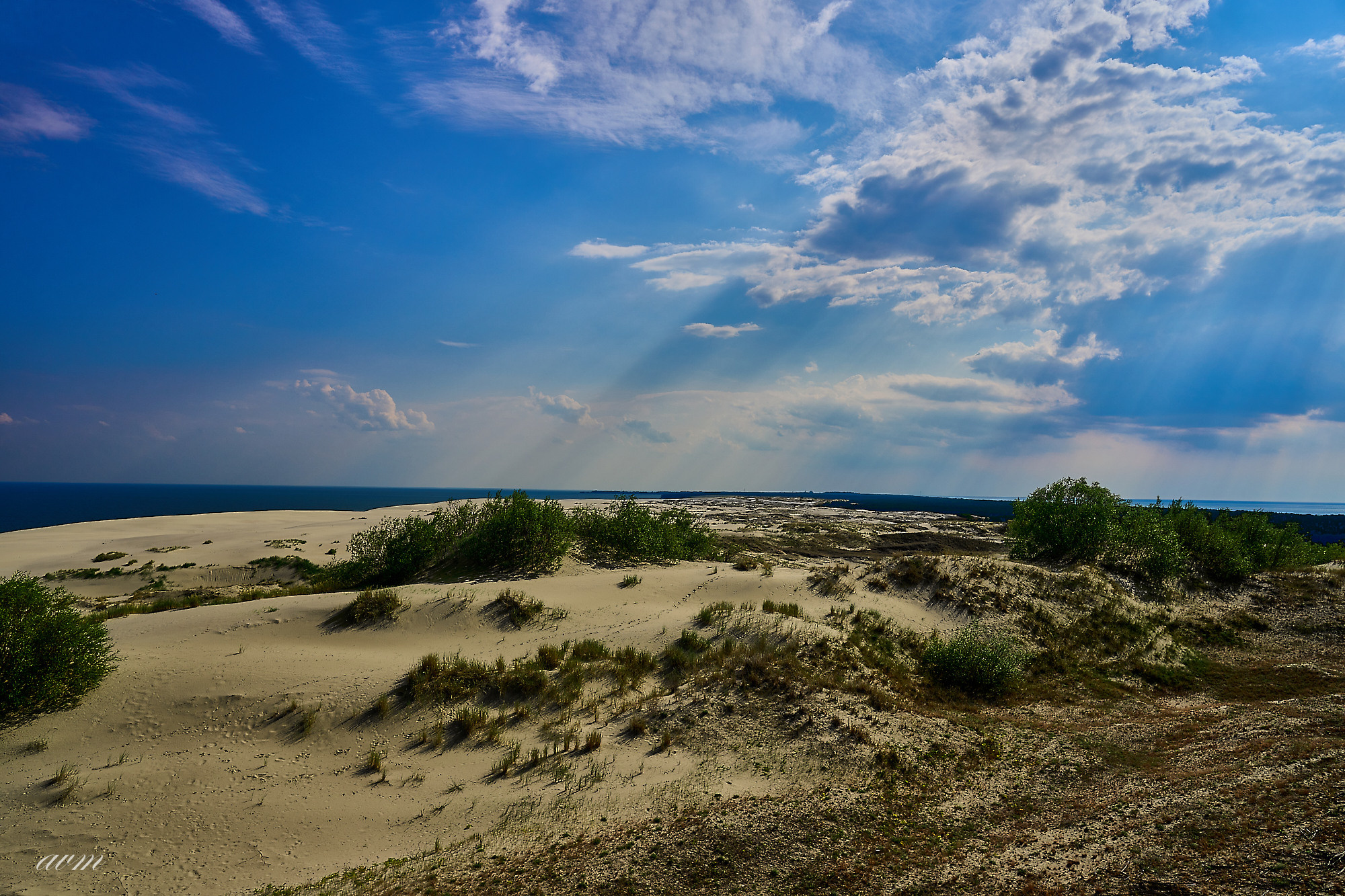 Калининград. Фотограф Михеев Андрей
