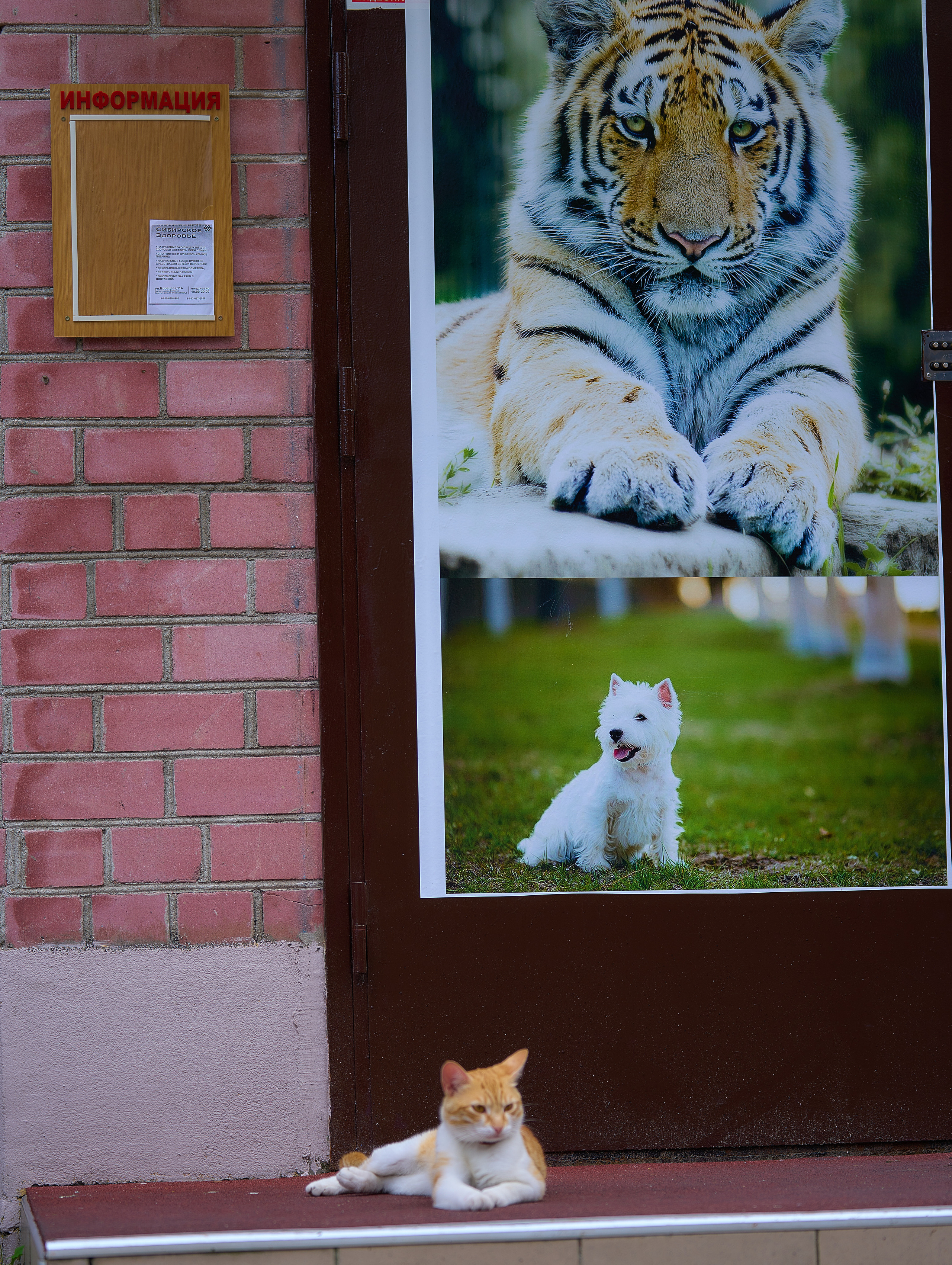 Калининград. Фотограф Михеев Андрей