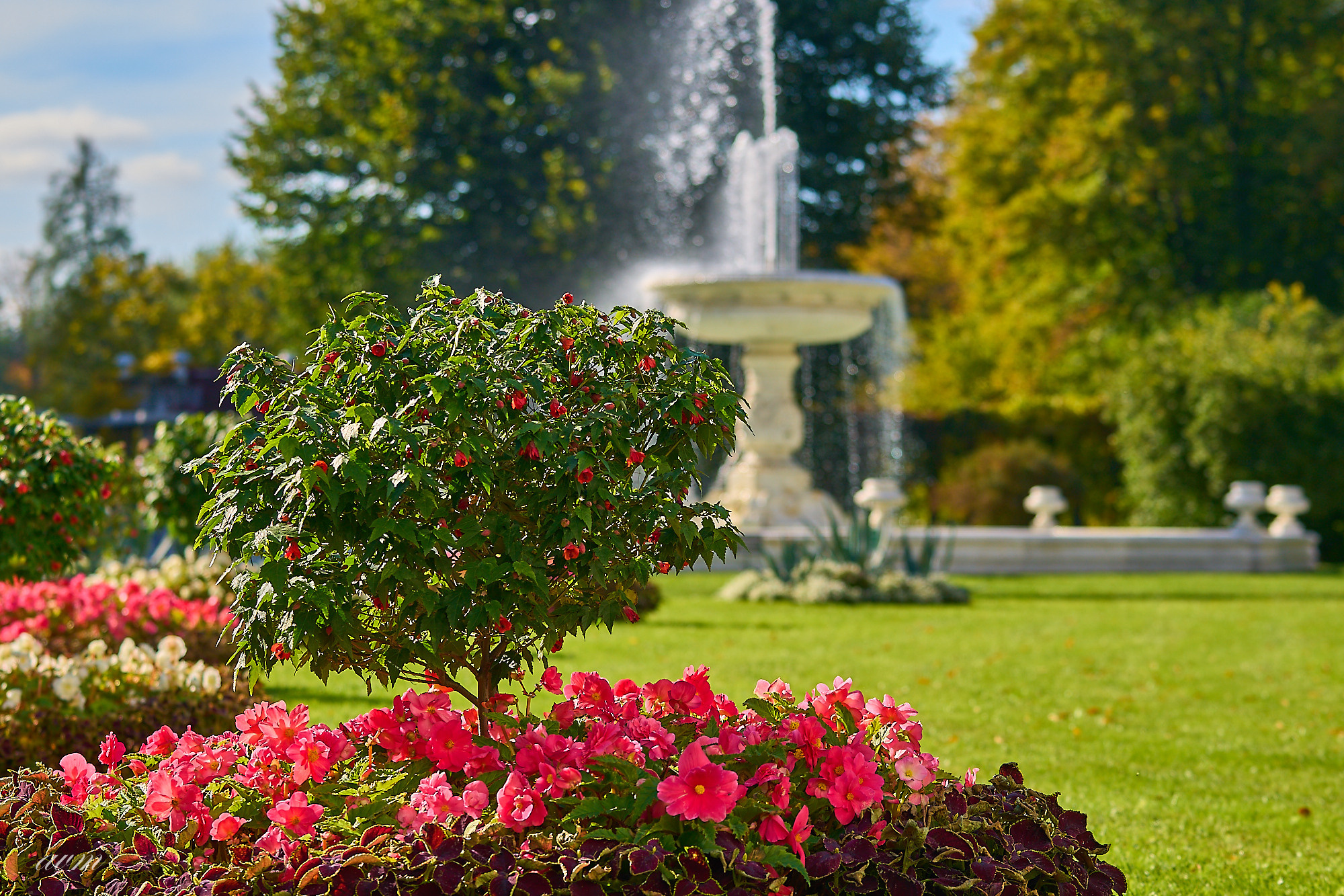 Царское село. Фотограф Михеев Андрей