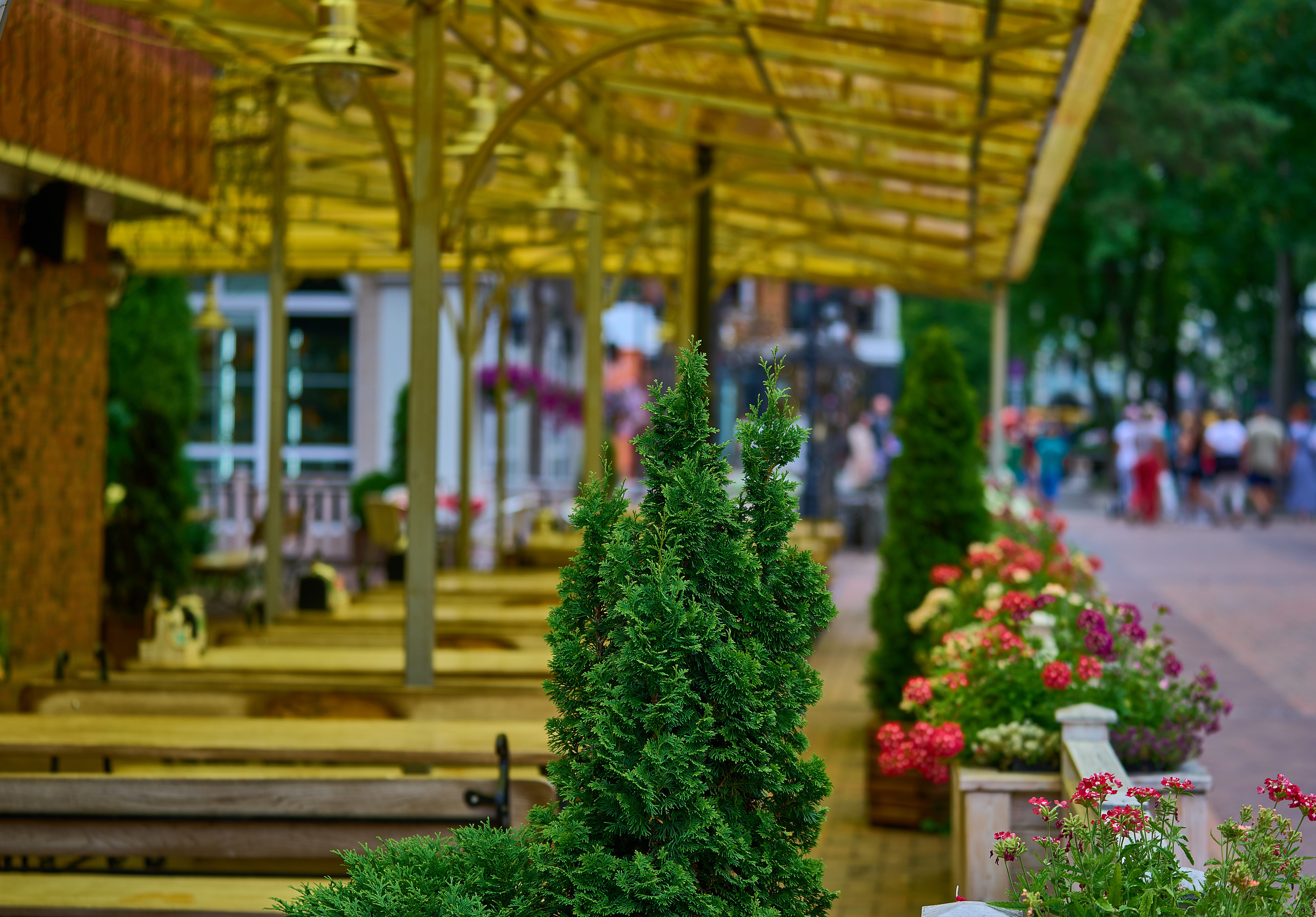 Калининград. Фотограф Михеев Андрей