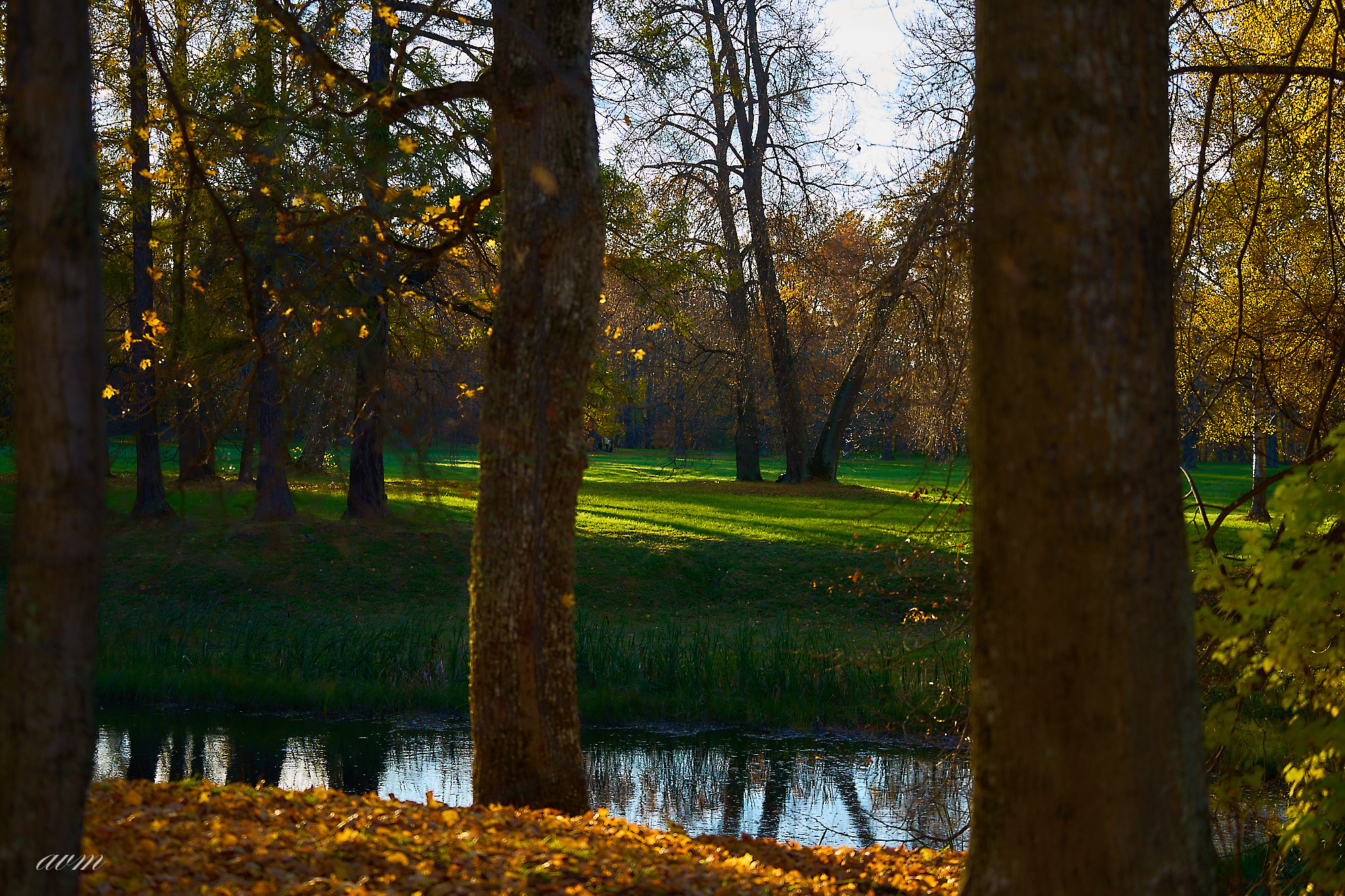 Оранинбаум. Фотограф Михеев Андрей