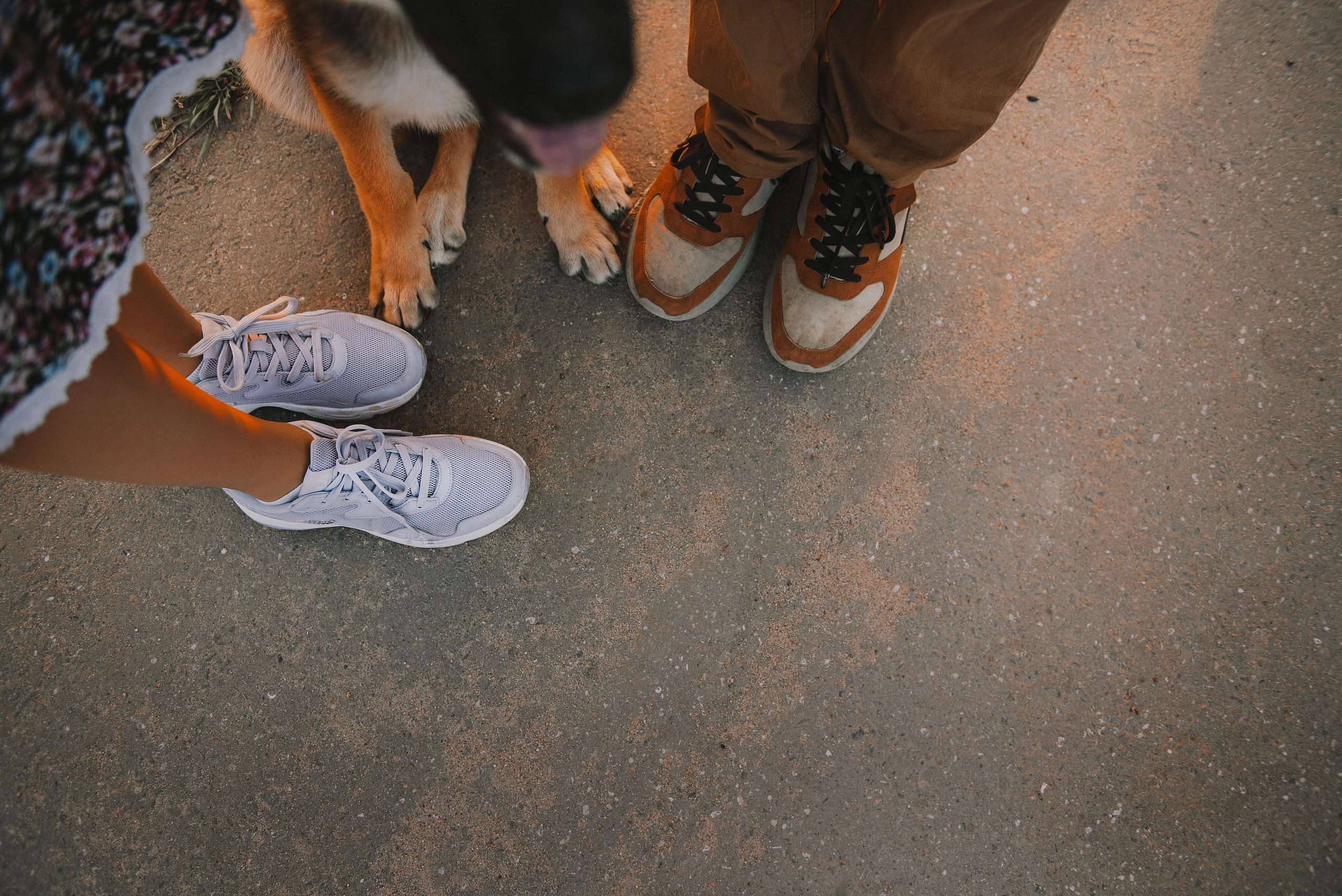 Эмир, Алсу и немецкая овчарка Рэй (Щелково, 2023). Анна Пушина, фотограф, Москва, Королев, Пушкино