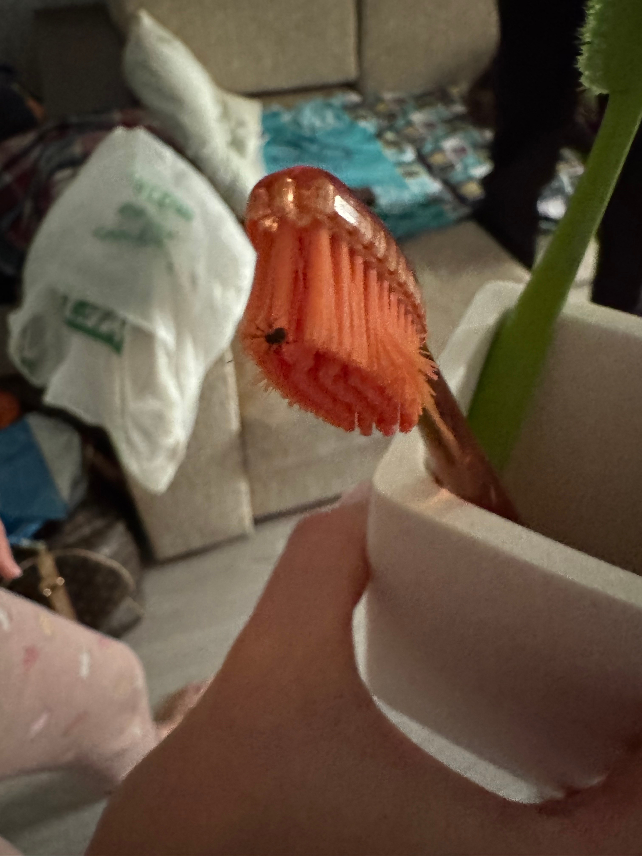 Литургия в Минске (2024-09-18). Собор Отрасли