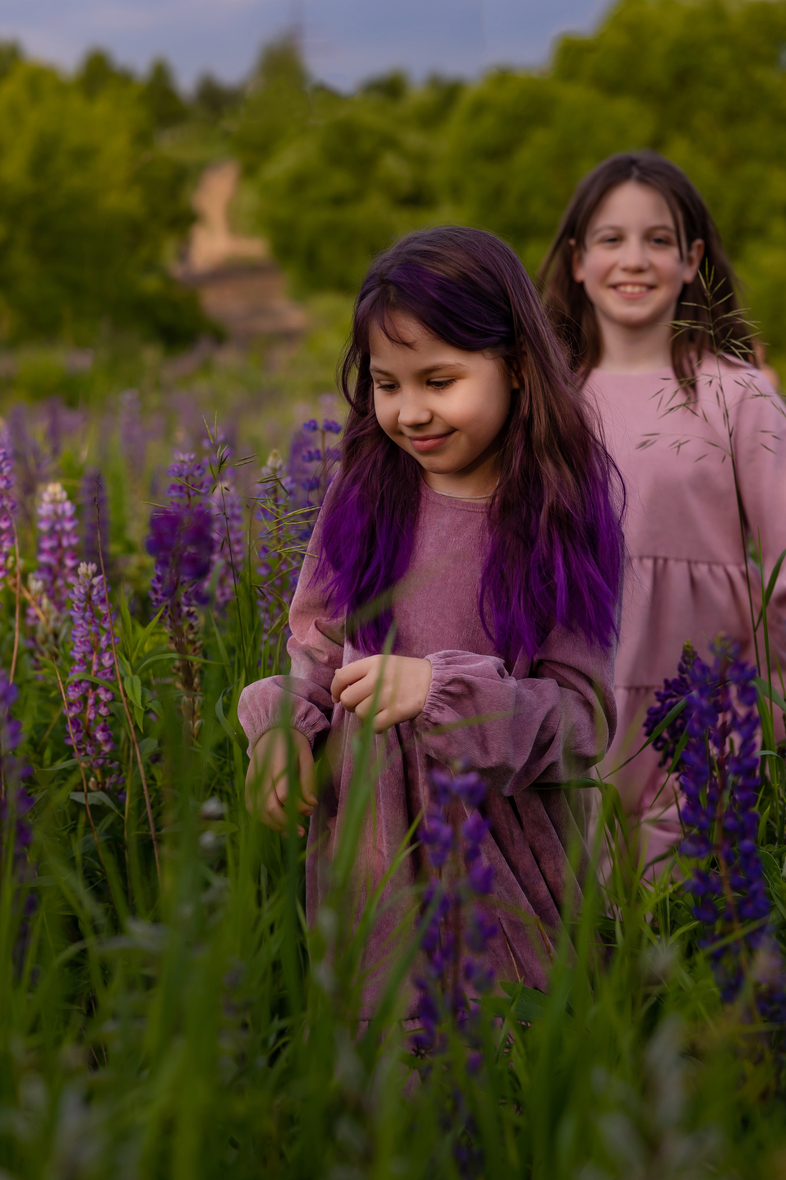 Пикник в люпиновом поле. Сказочный фотограф для Вас и Вашей семьи