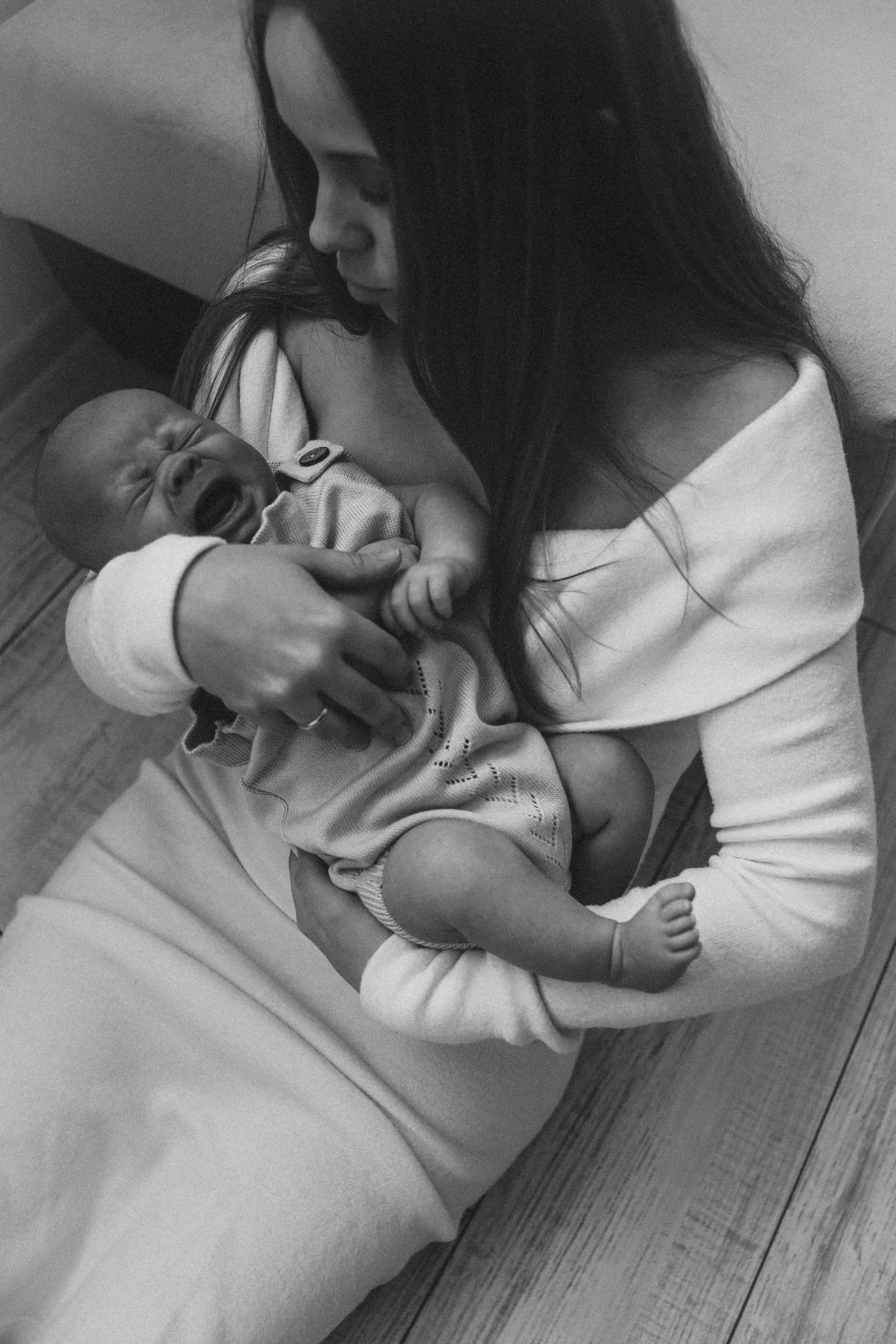 Лев. Phbyadel.wfolio.pro