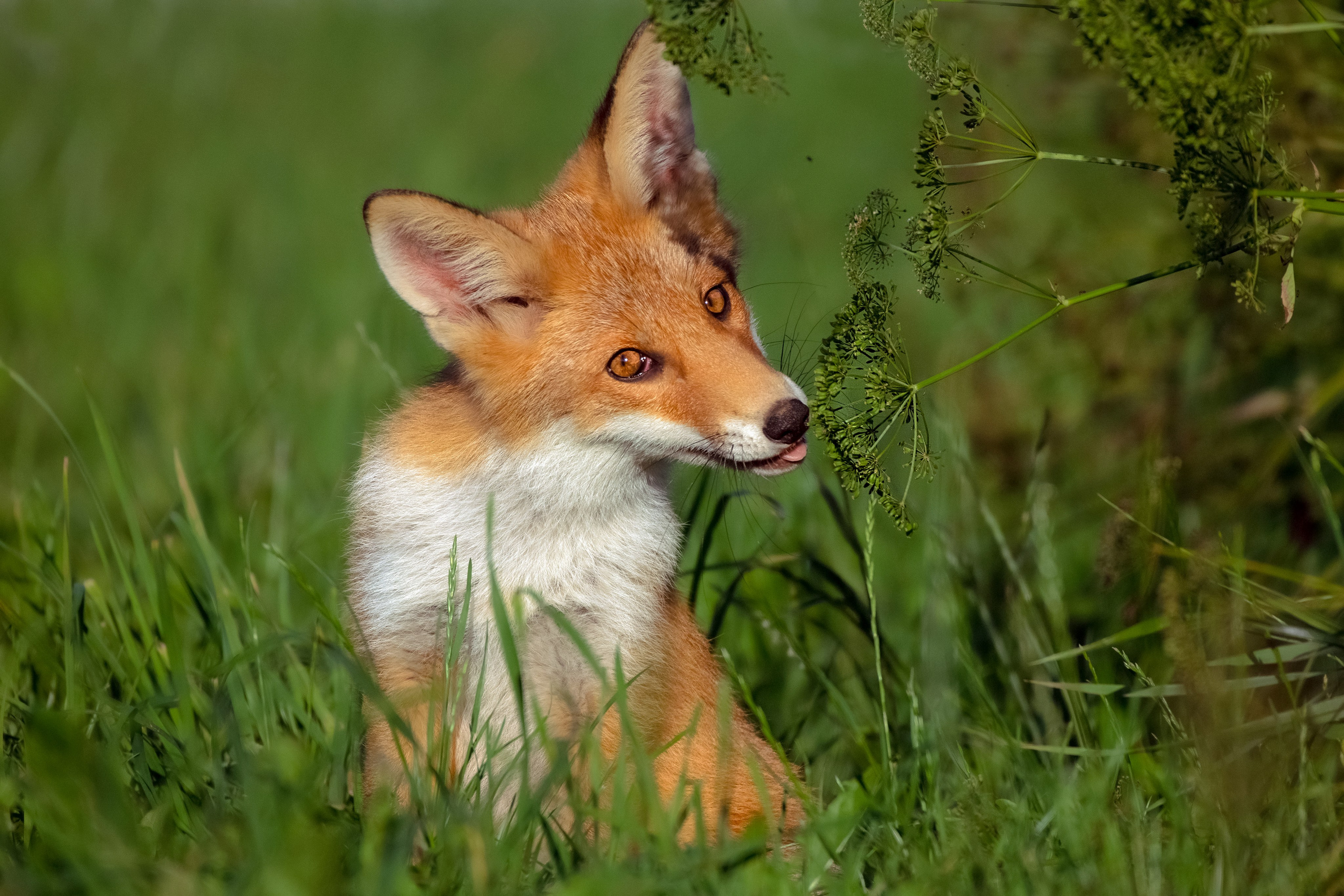 Победа в конкурсе от РГО «Самая красивая страна» 2024. Фотографии Лены Соколовой