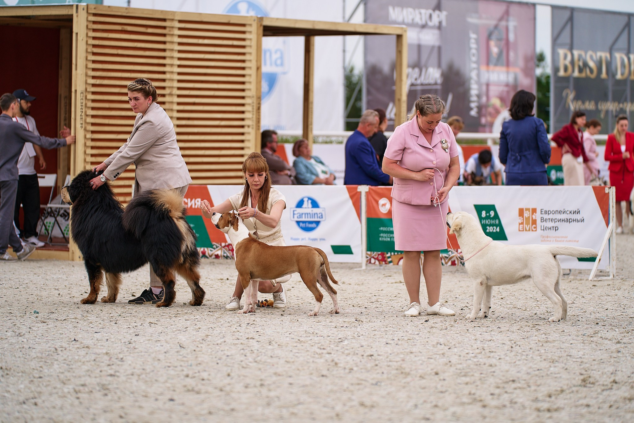 09.06.2024, «РОССИЯ. КУБОК МОСКВЫ 2024 & КУБОК ГОРОДОВ-ГЕРОЕВ»