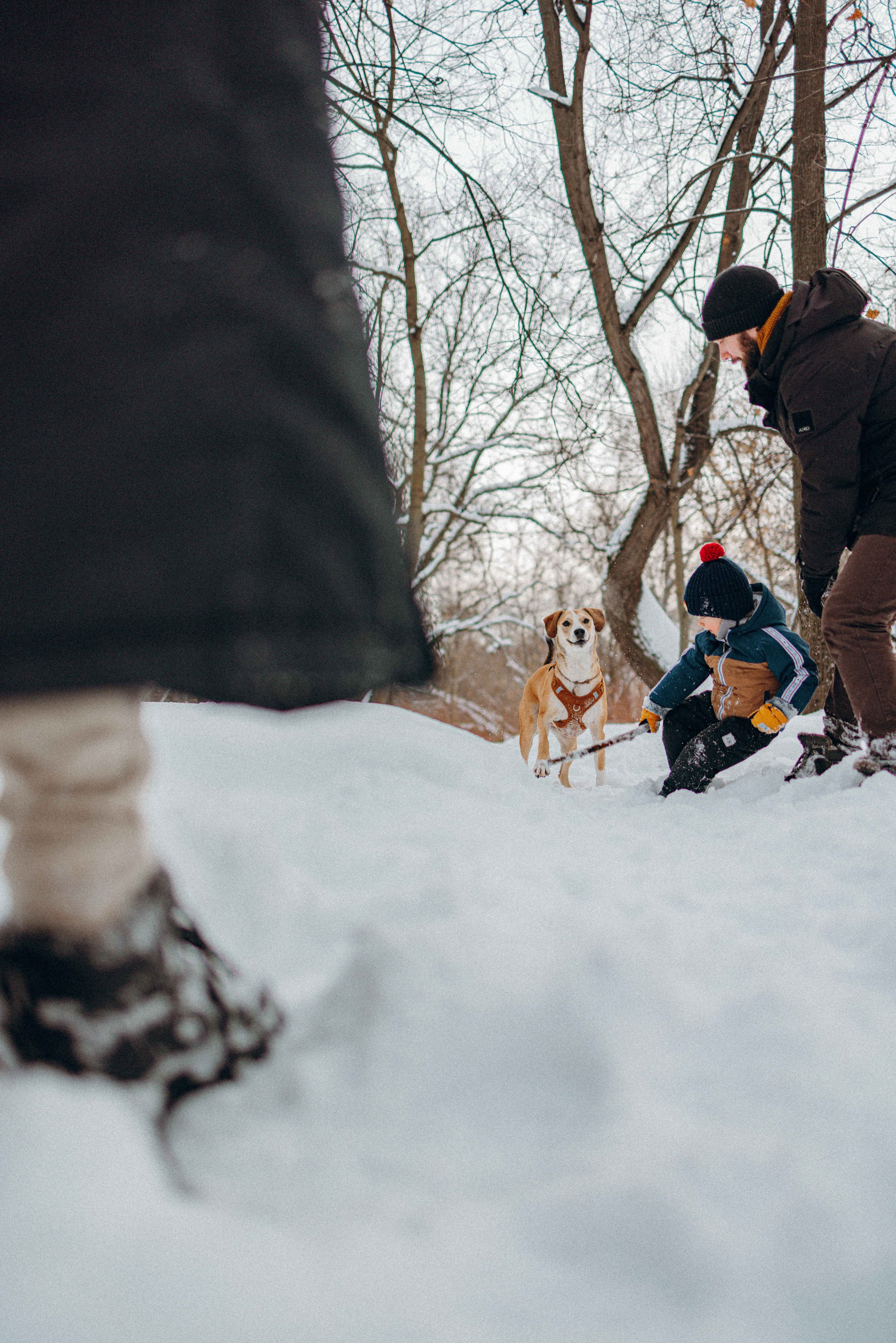 Свобода и ее семья. Фотограф-анималист в Москве Лера Черноног