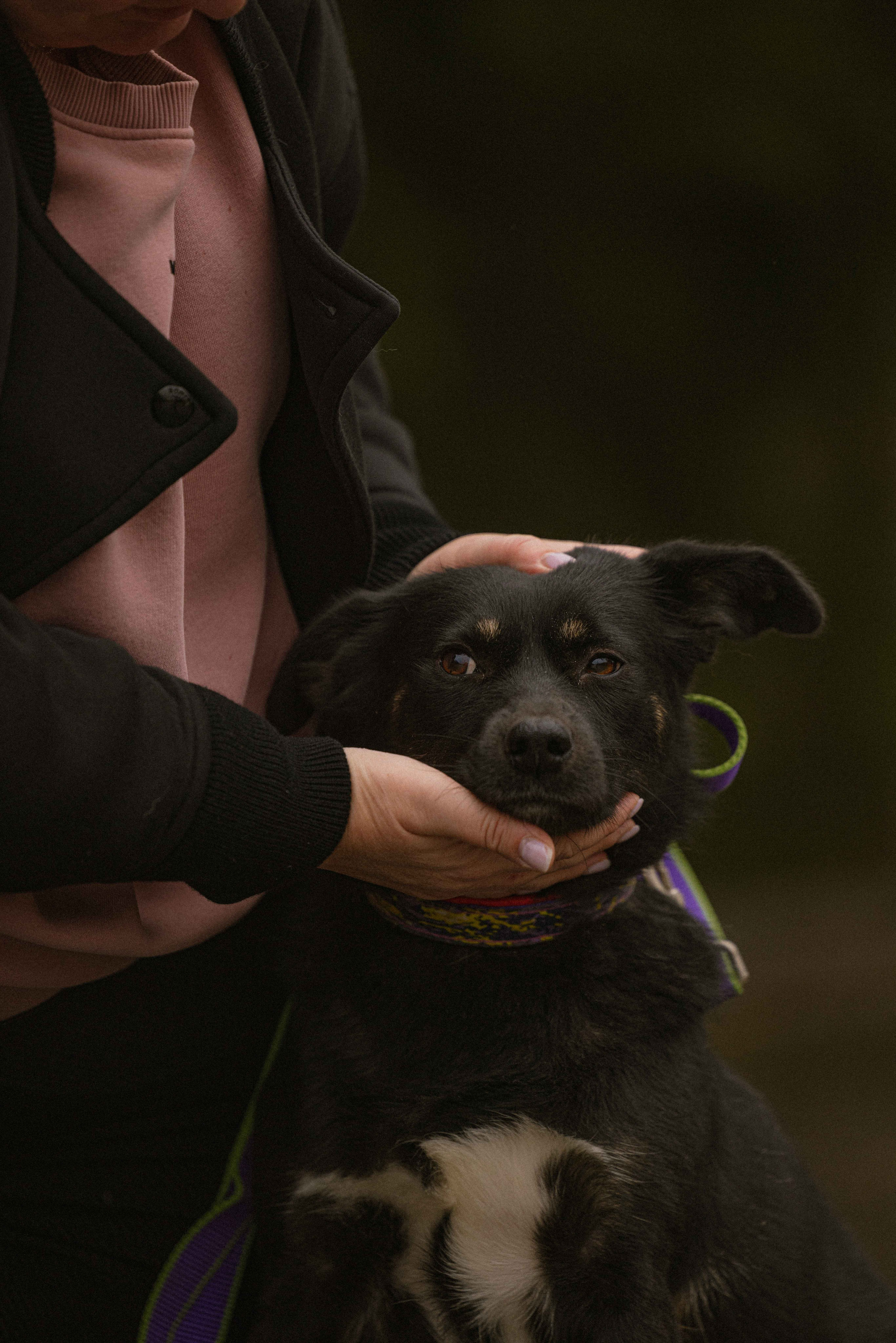 Передержка. Фотограф-анималист в Москве Лера Черноног