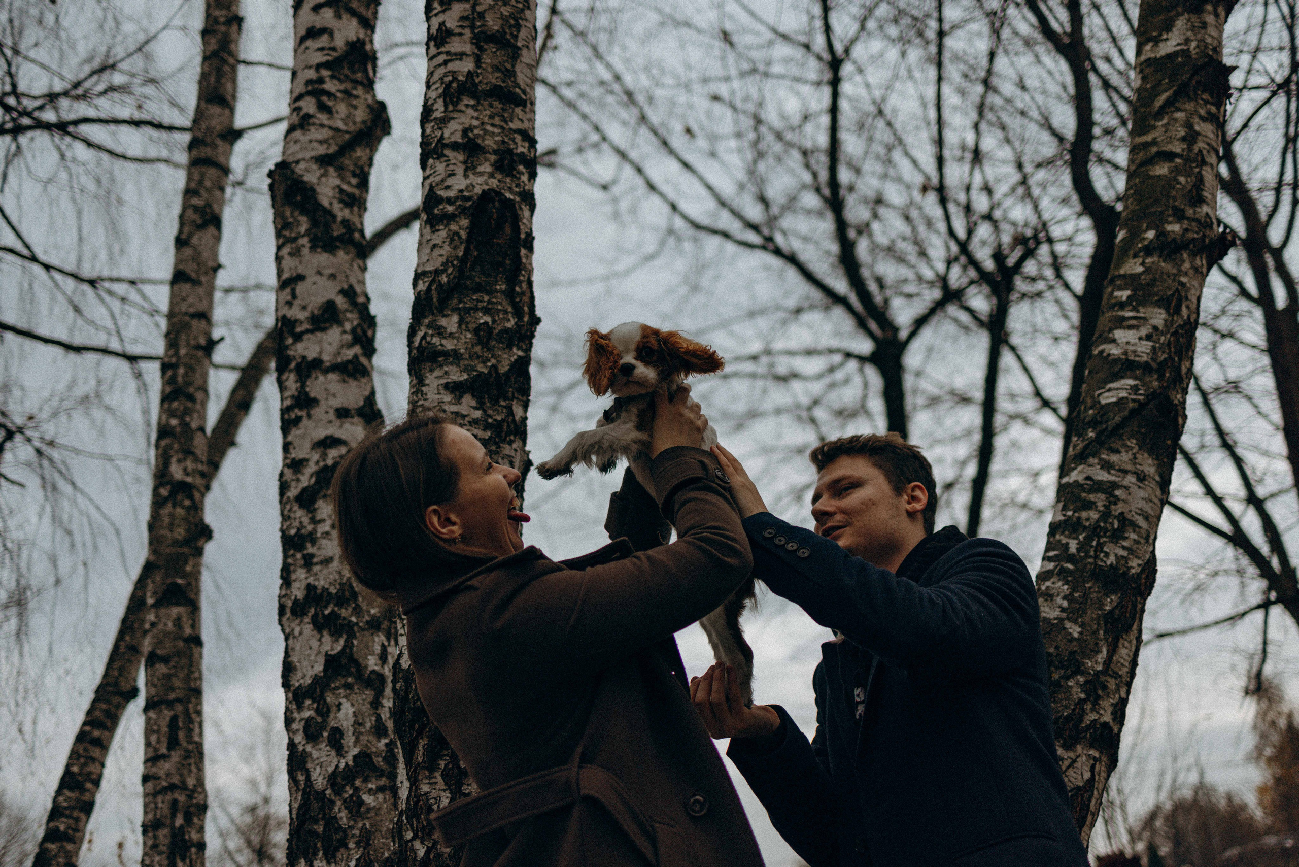 Юля и Кипр. Фотограф-анималист в Москве Лера Черноног