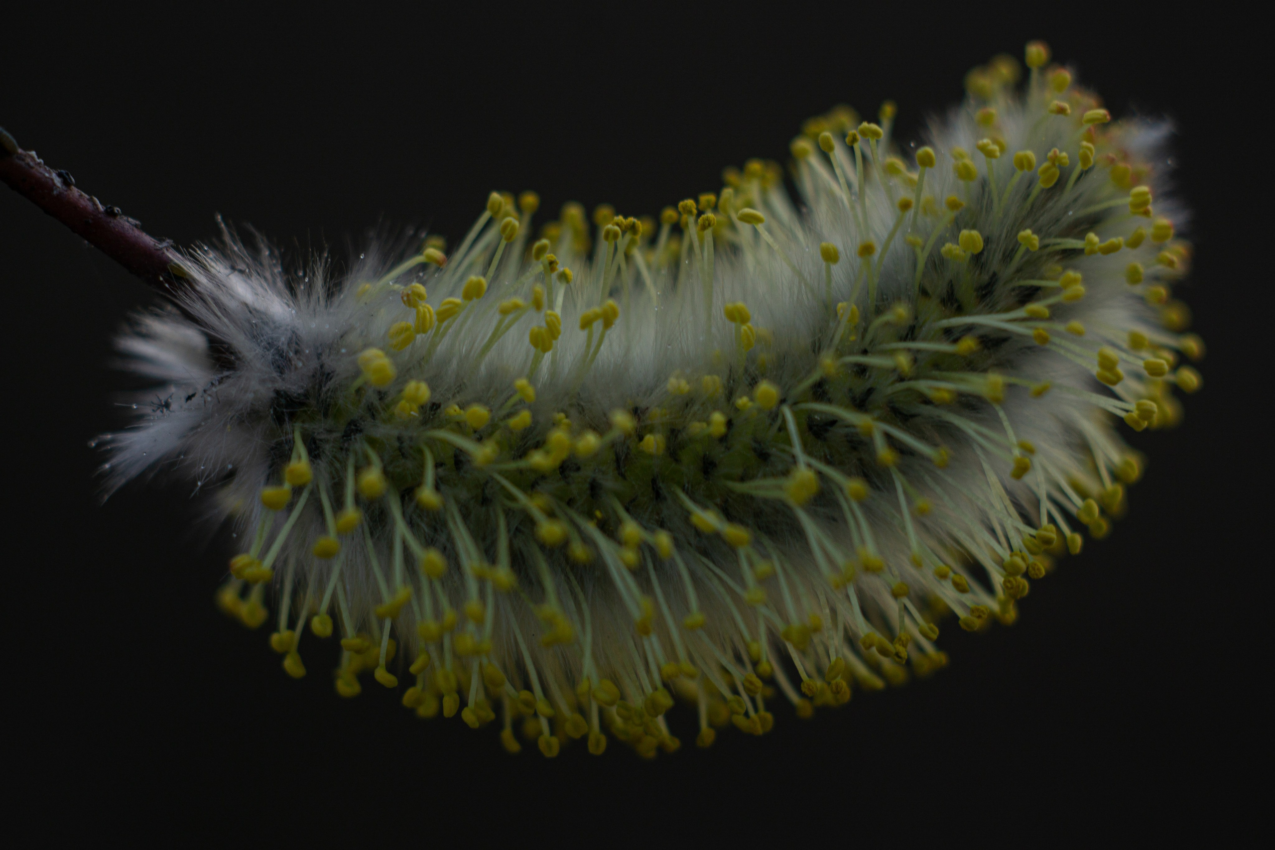 EXHIBITION. Репортажный и интерьерный фотограф, фотохудожник