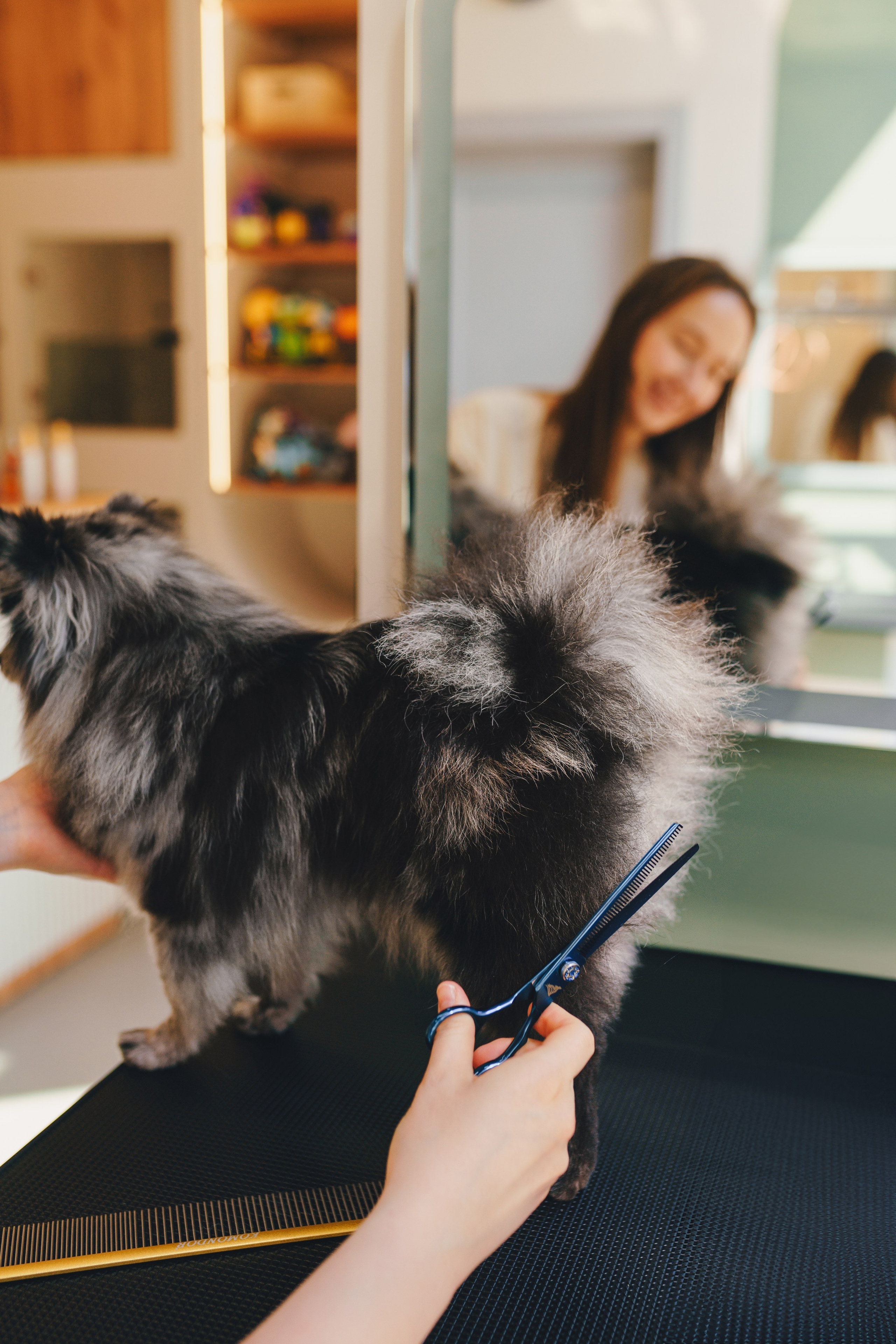 Груминг-салон. Фотограф анималист Осипчикова Мария