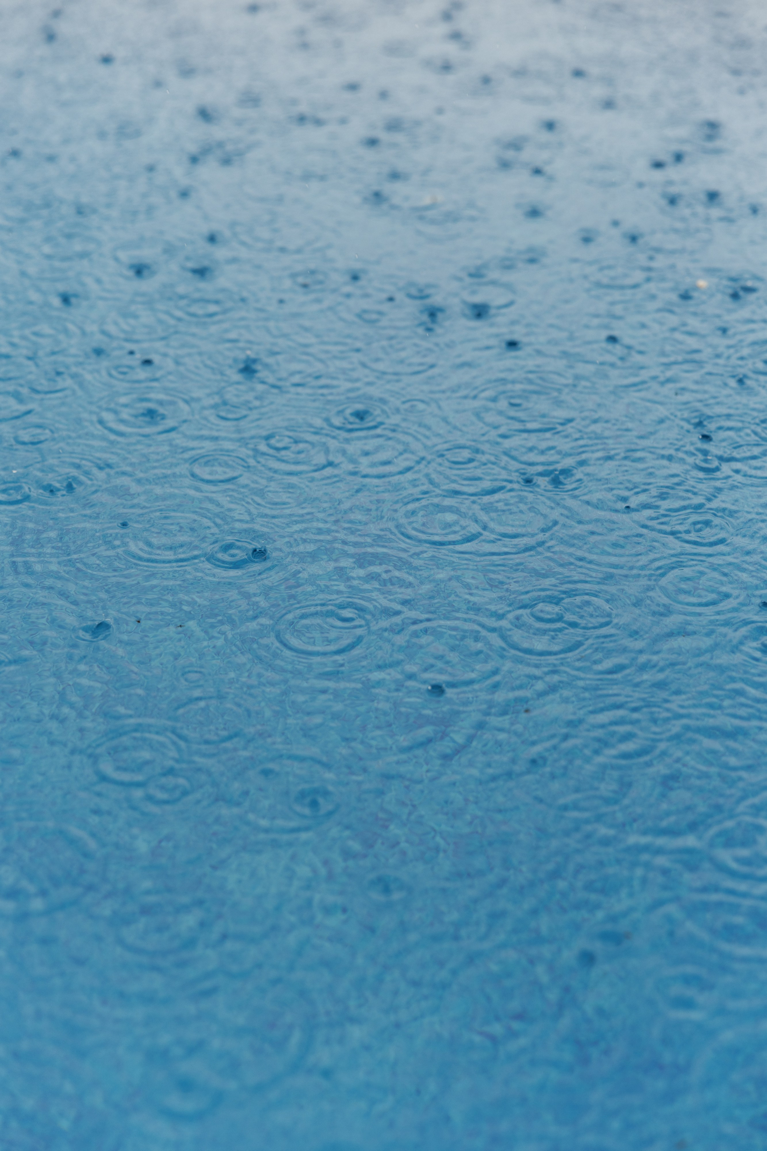 Александр и Екатерина. Свадебный фотограф в Севастополе и Крыму| Tanya Sher