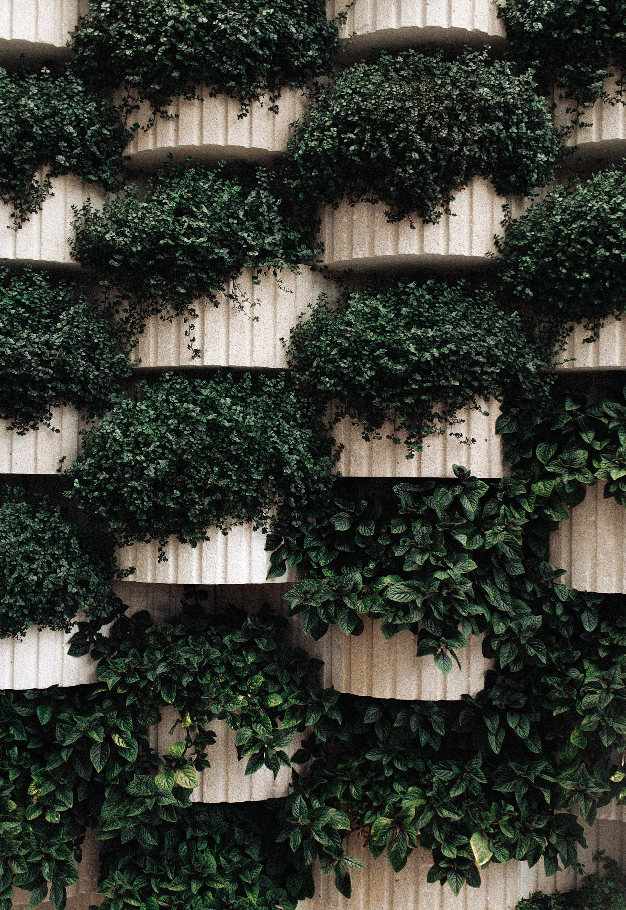 Maria & Dima. Свадебный фотограф в Севастополе и Крыму| Tanya Sher