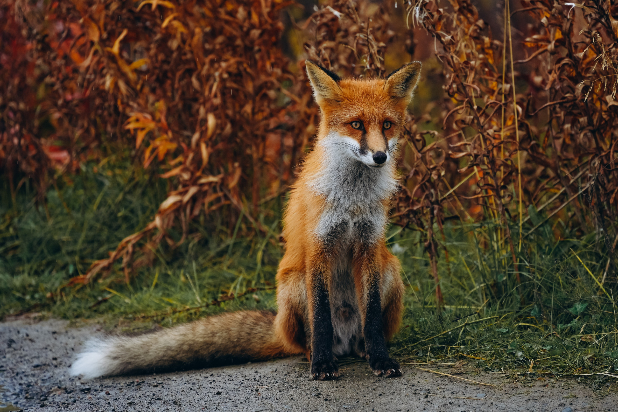 СЕВЕР. Event фотограф Степанова Александра