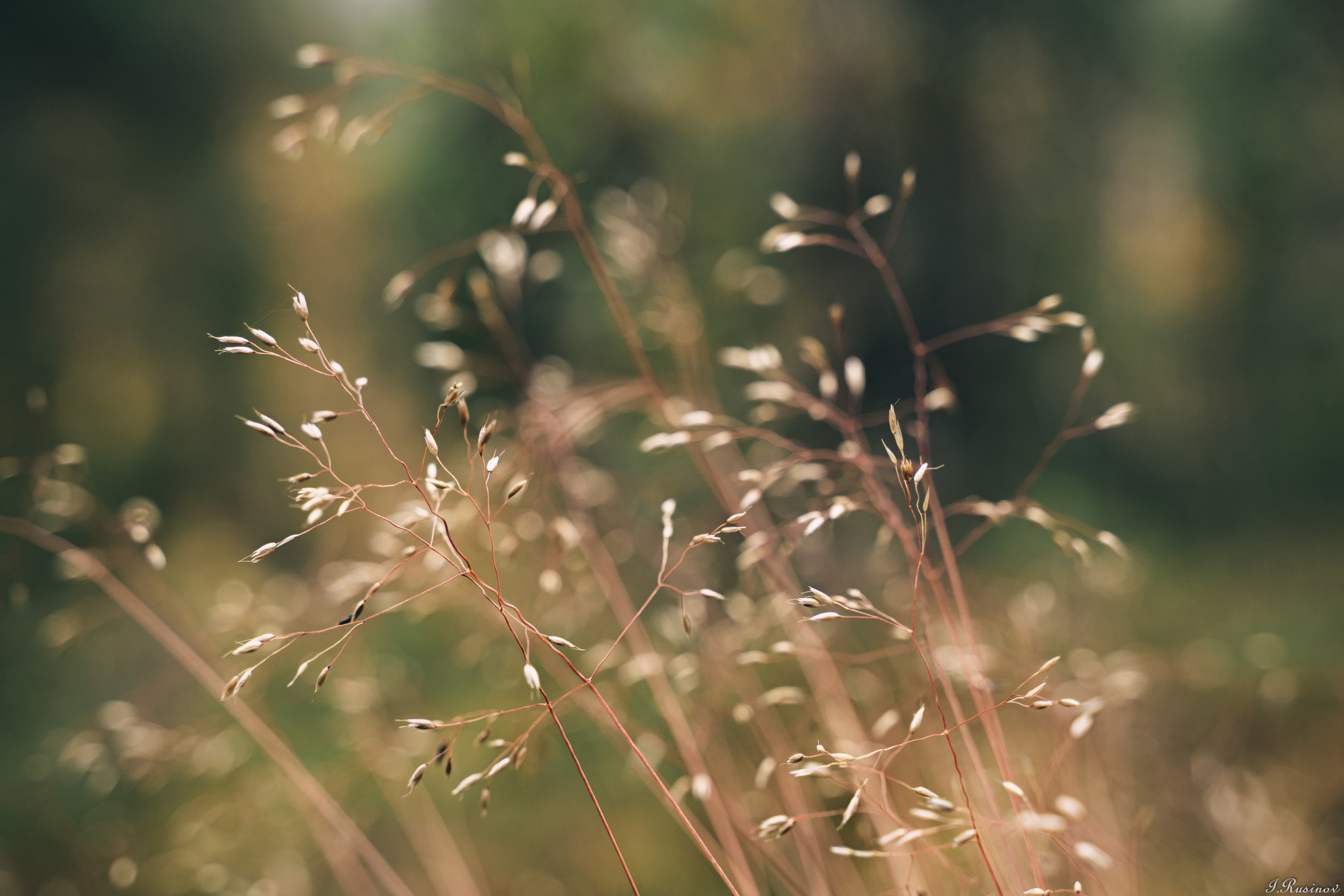 ХИБИНЫ 2021 г. Event фотограф Степанова Александра