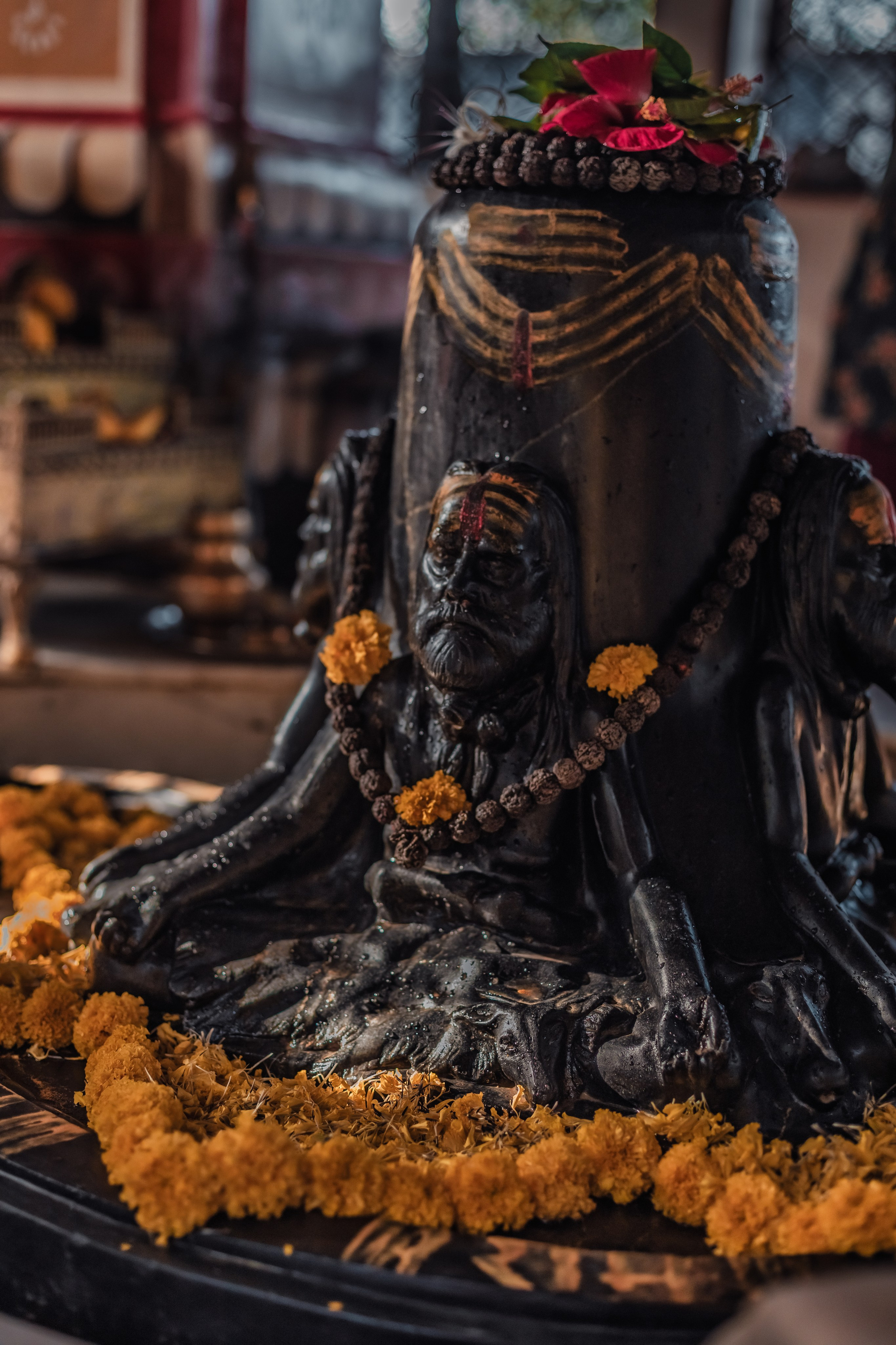 Devraha baba ji ashram life 2025. Mariam Bagdasaryan