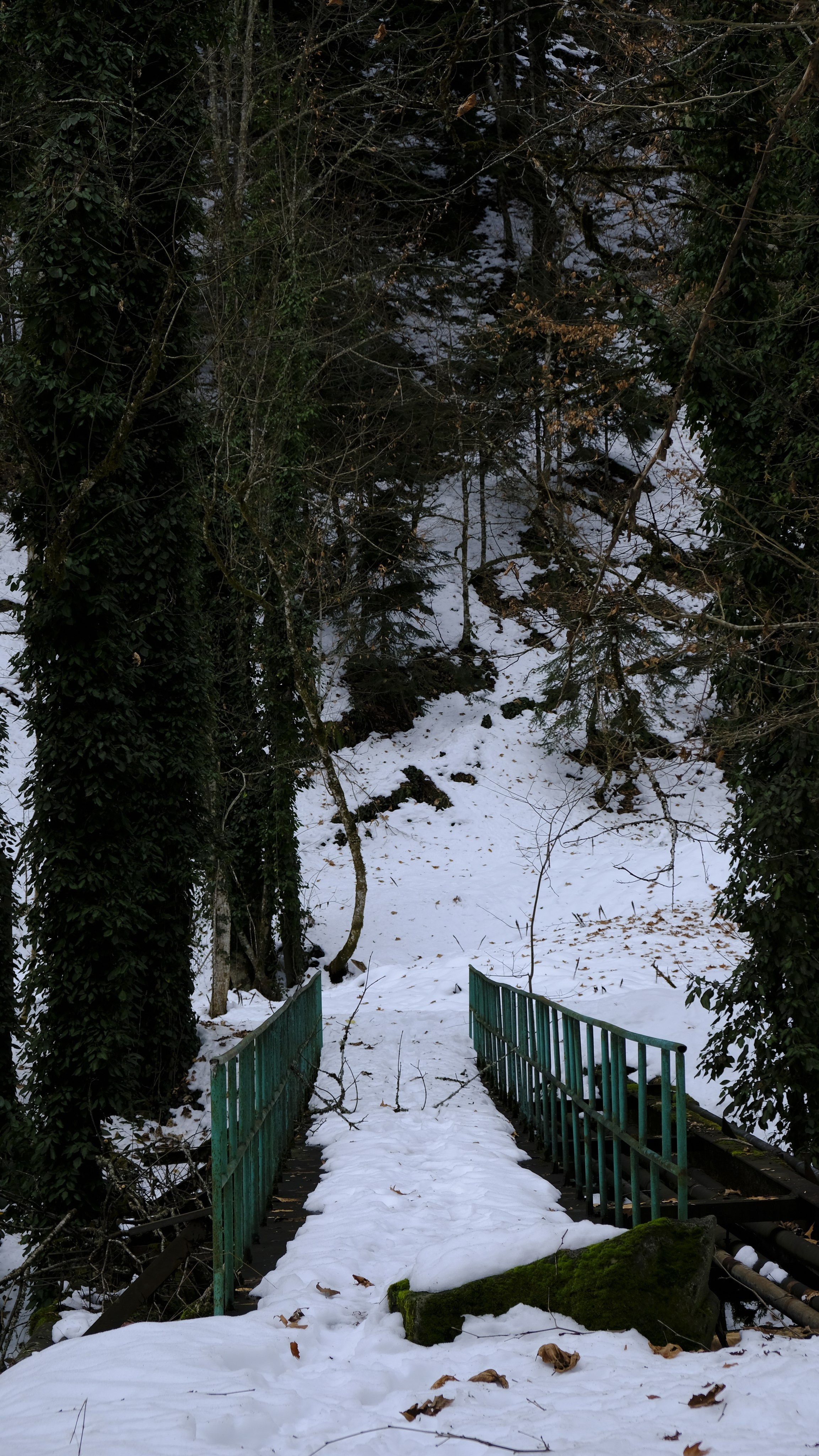 Сталинская дача на Рице зимой. Главная