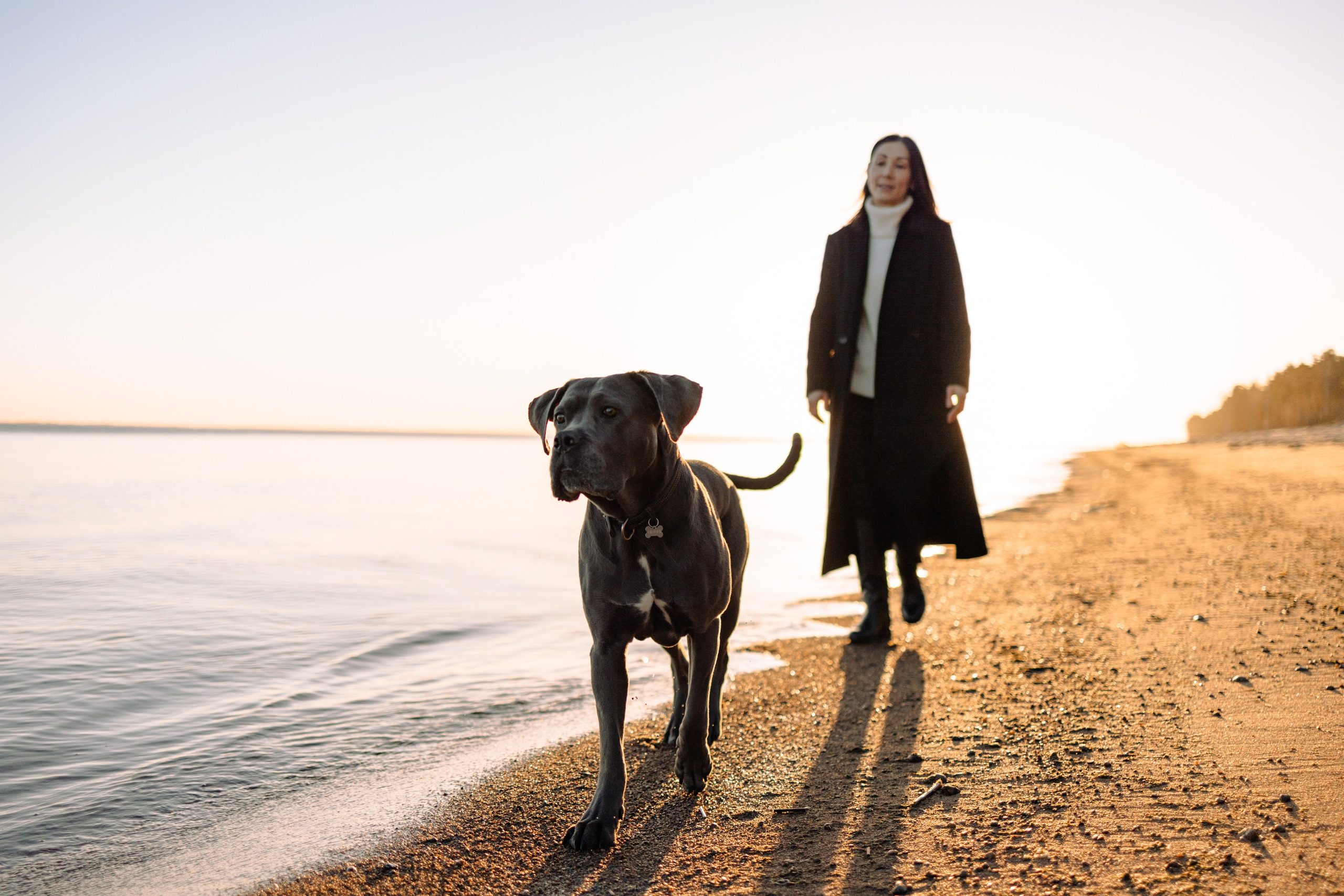 Анна и Лана. Фотограф — Анималист | Санкт-Петербург