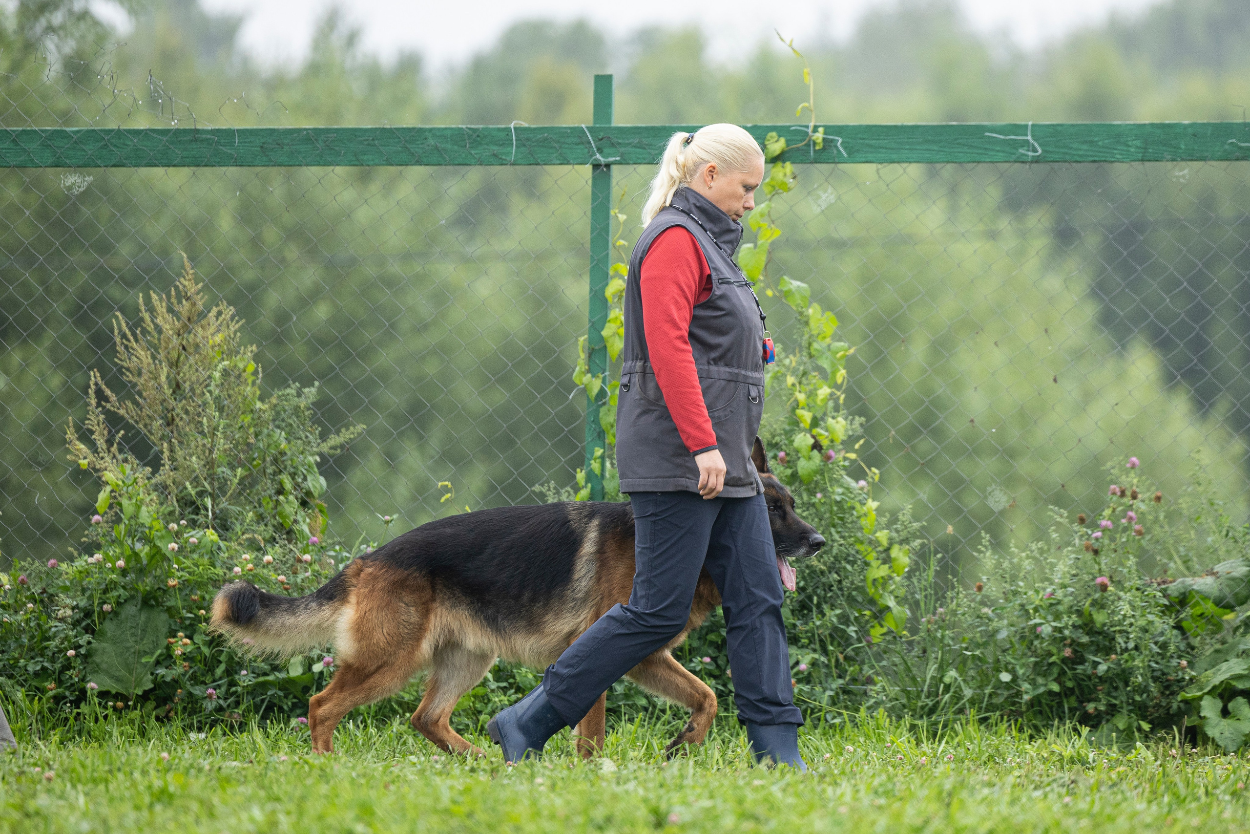 Соревнования по Мондьорингу г. Вологда 10-11.08.2024. Фотограф-анималист Анна Маринич